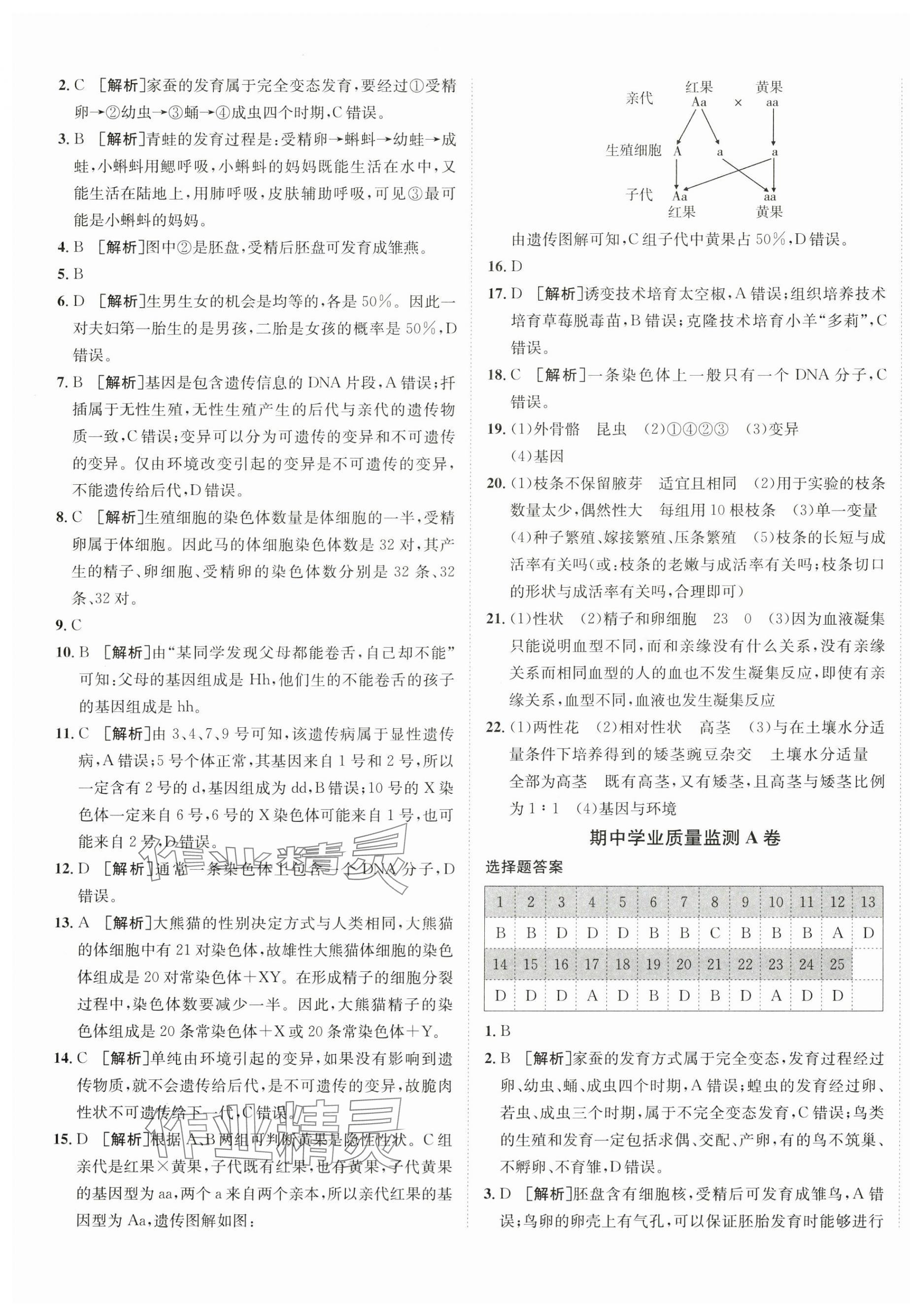 2025年海淀单元测试AB卷八年级生物下册人教版 第5页