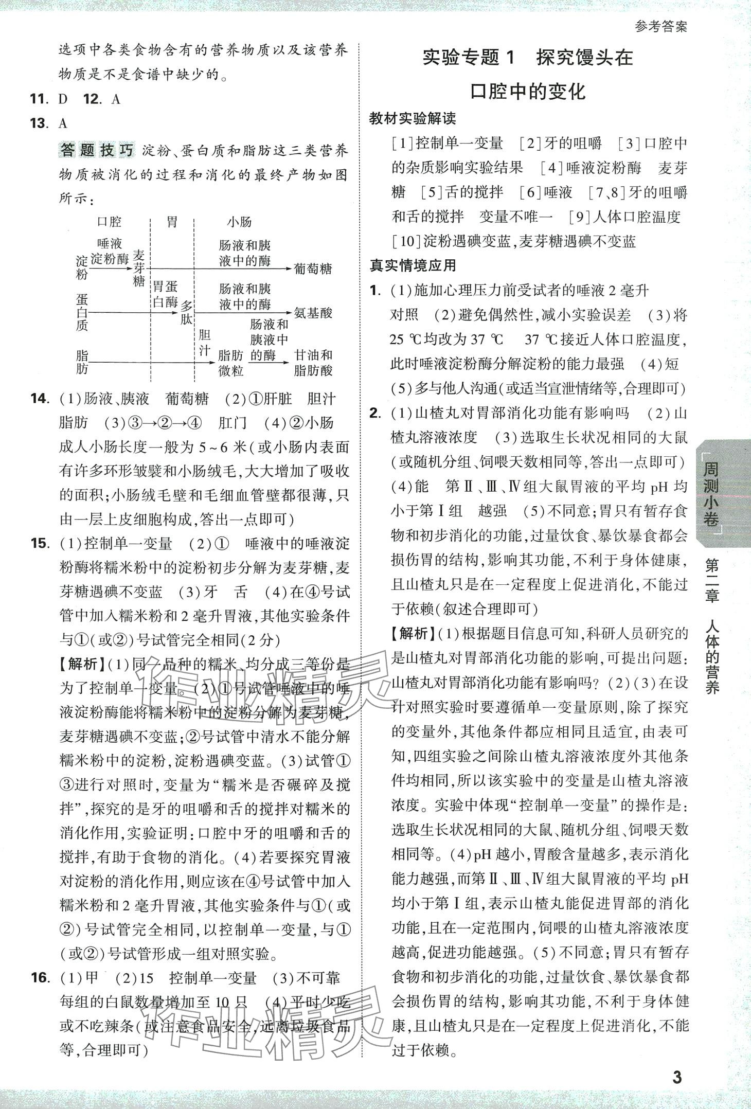 2024年万唯中考大小卷七年级生物下册 第3页