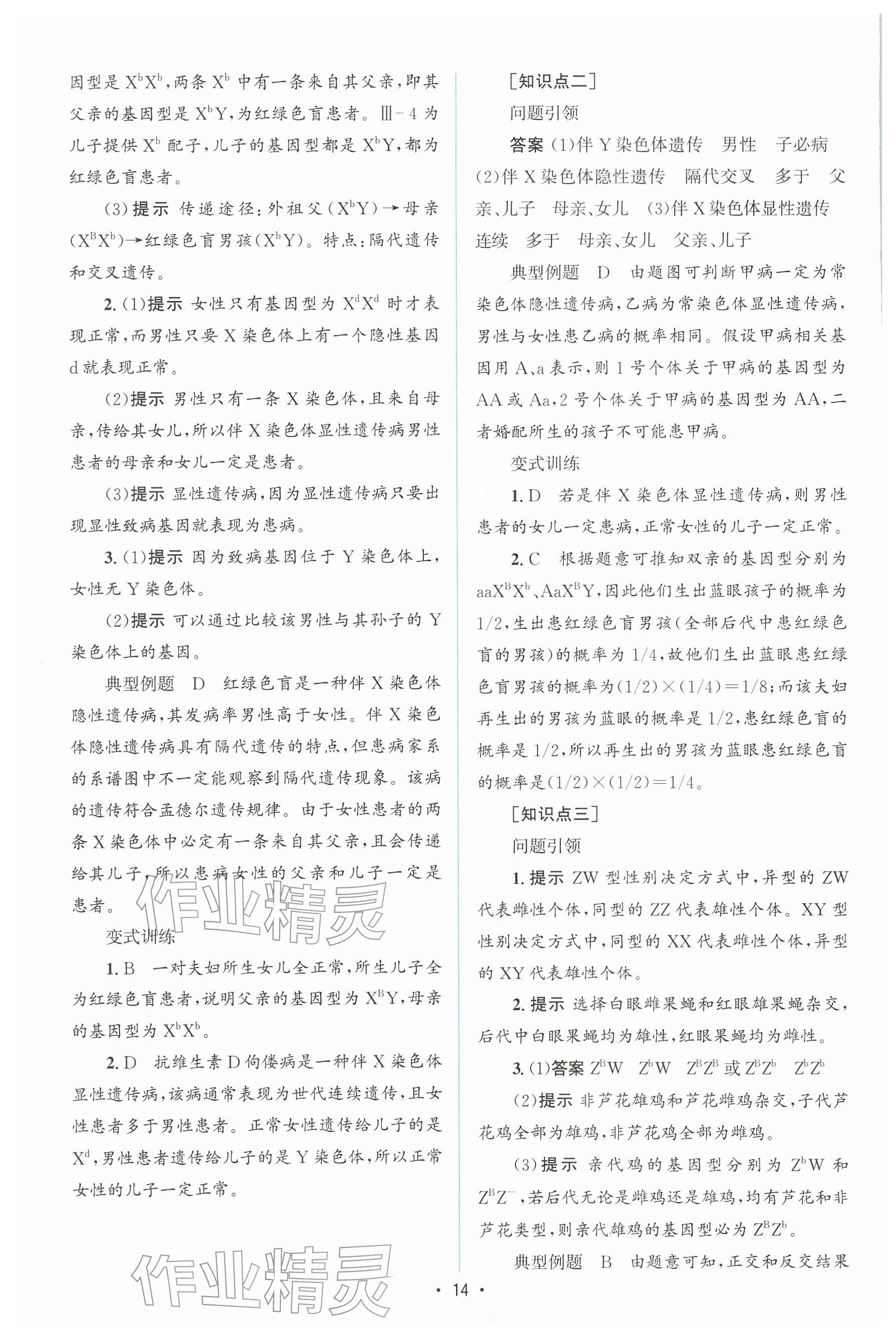 2026年高中同步测控优化设计高中生物必修第二册人教版增强版&nbsp;参考答案第13页