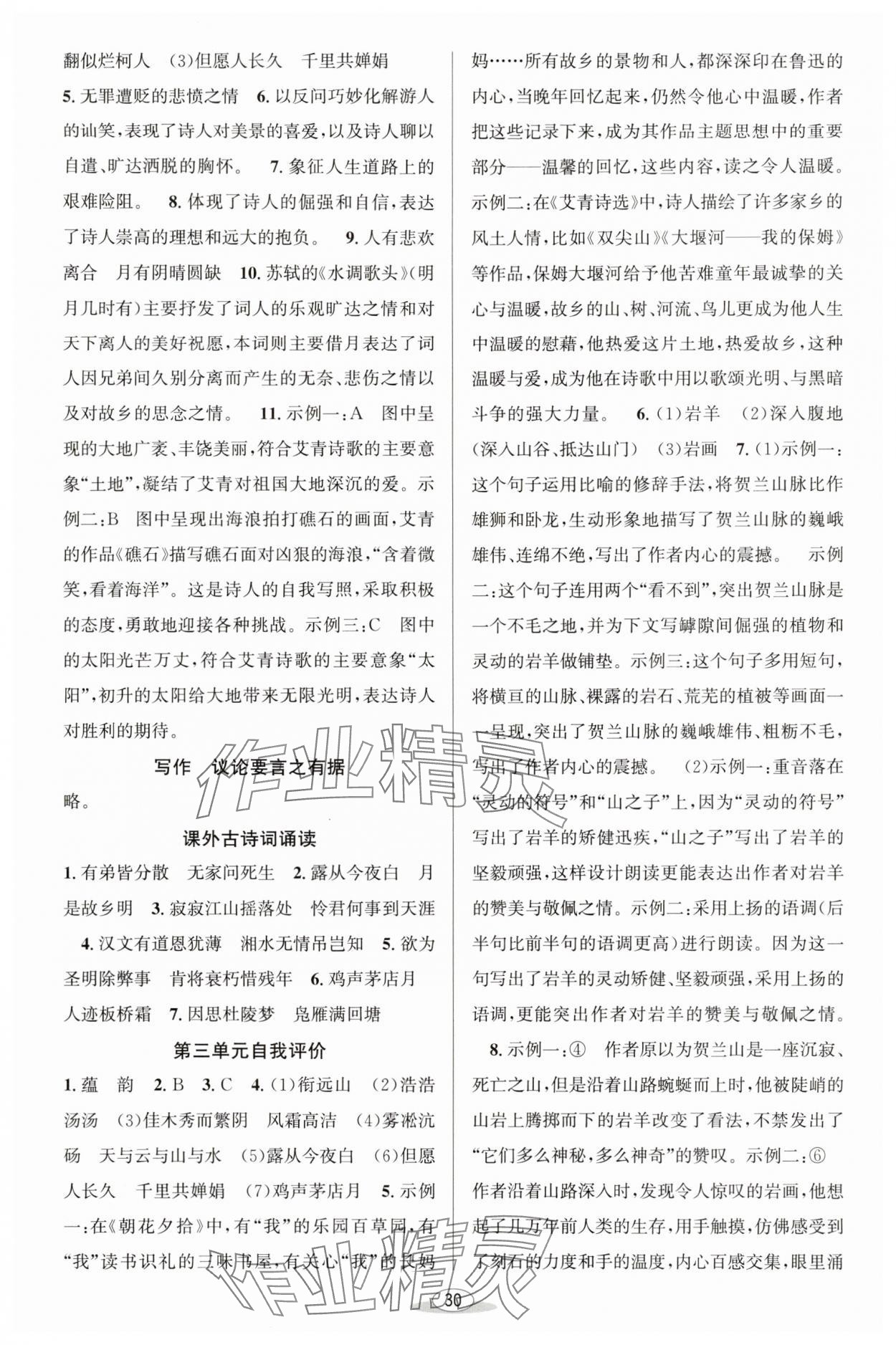 2025年教與學(xué)課程同步講練九年級(jí)語(yǔ)文全一冊(cè)人教版 第8頁(yè)