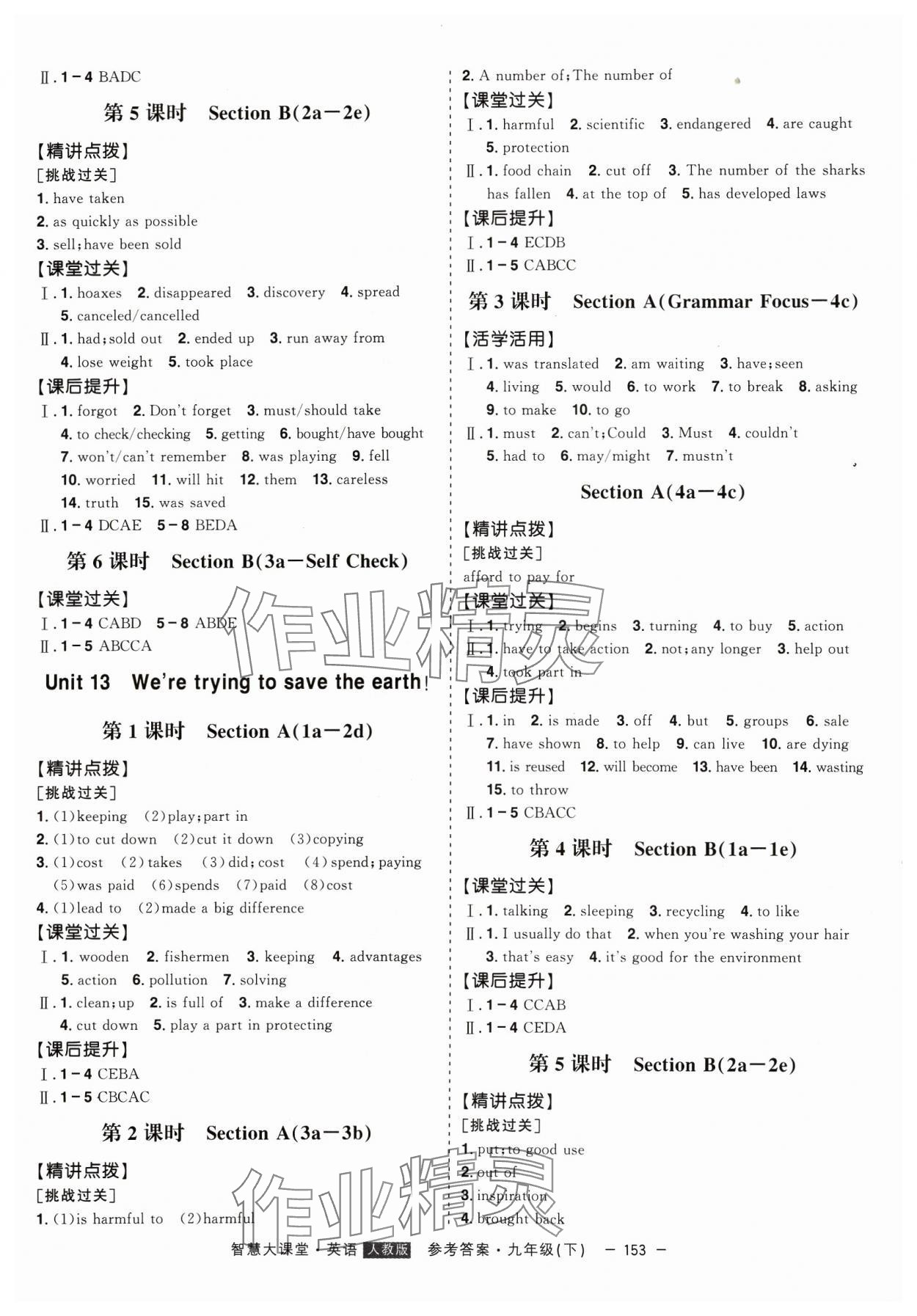 2024年初中新课标名师学案智慧大课堂九年级英语下册人教版 第5页