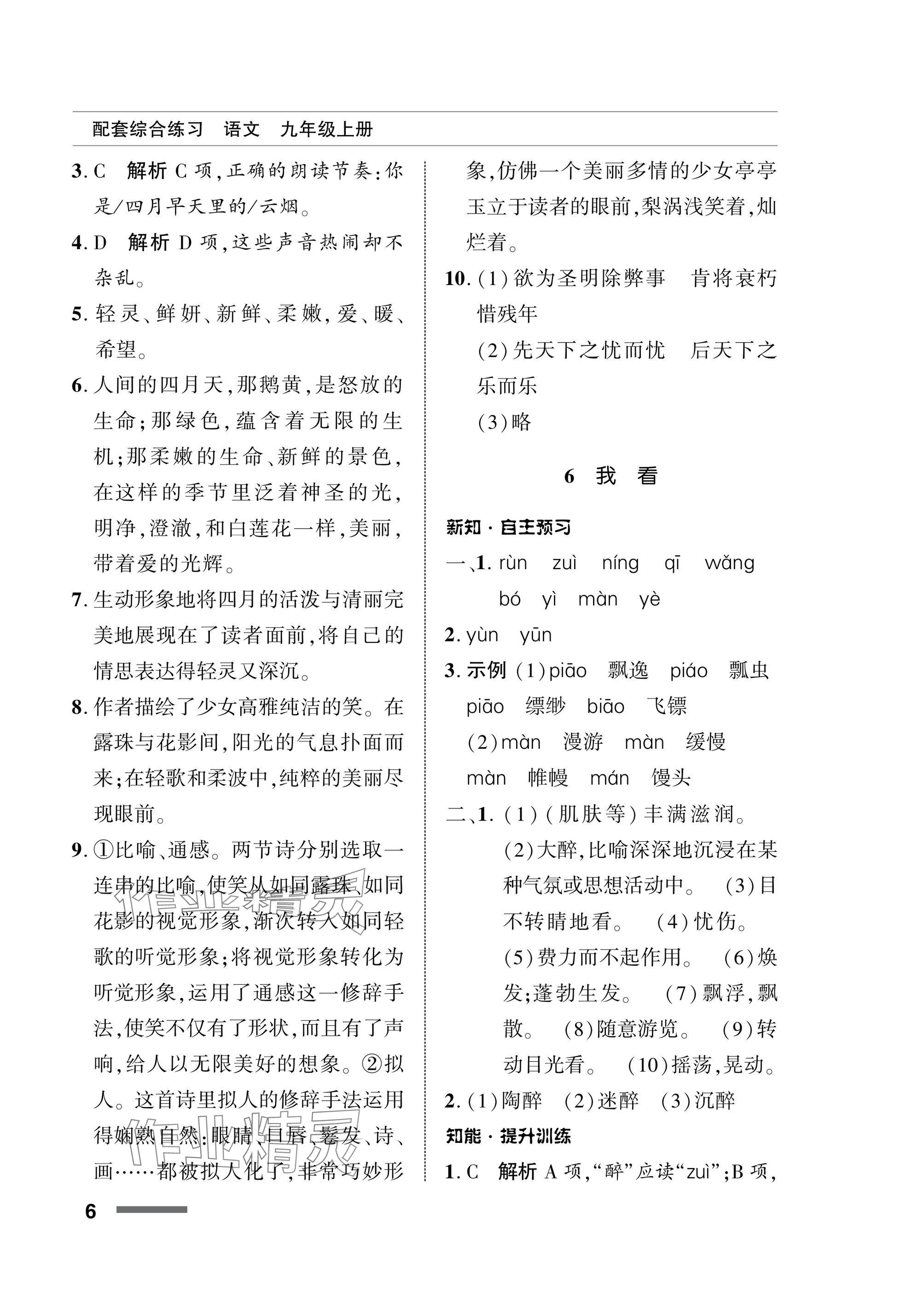 2025年配套综合练习甘肃九年级语文上册人教版 参考答案第6页
