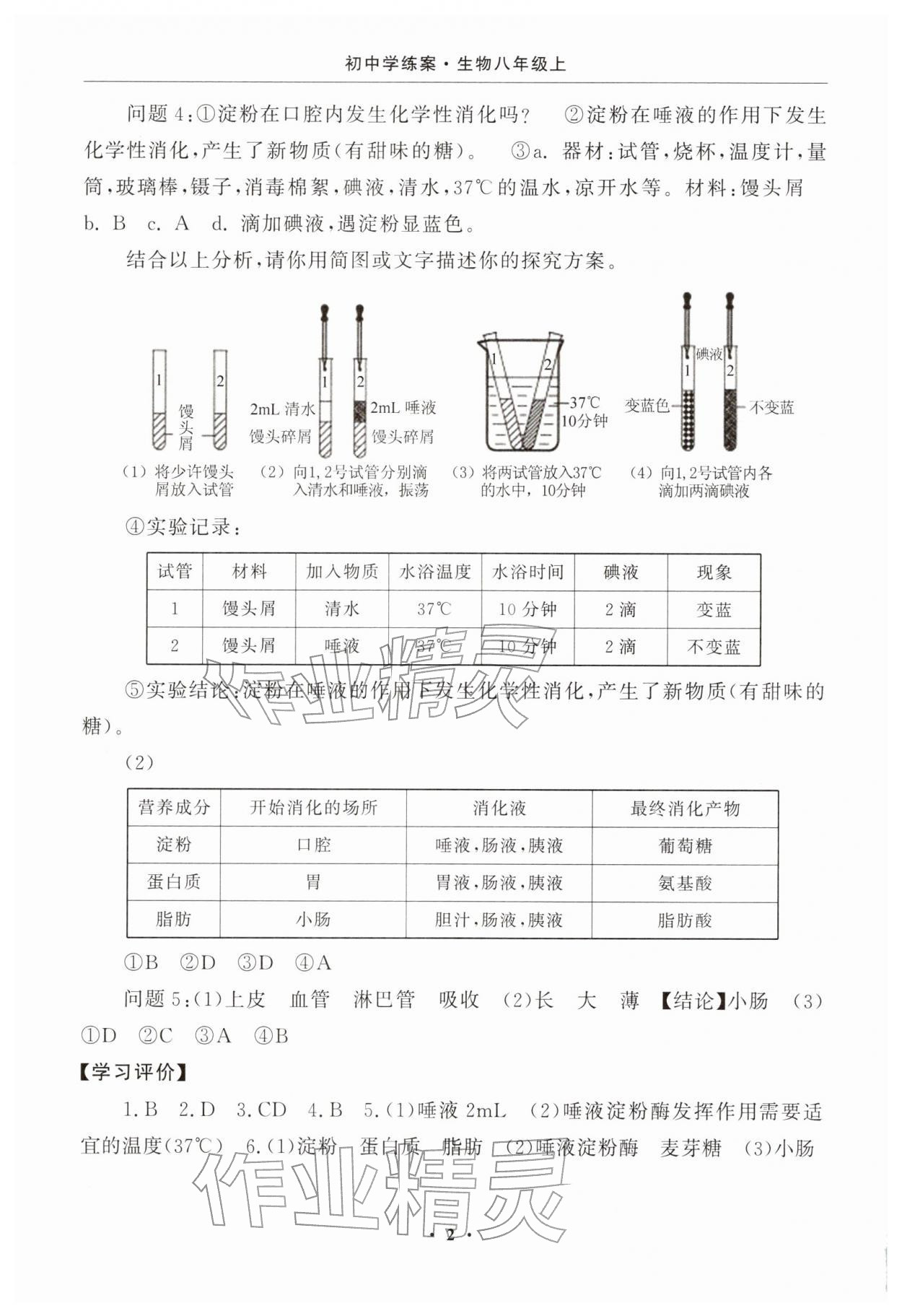 2025年初中学练案八年级生物上册苏教版 参考答案第2页