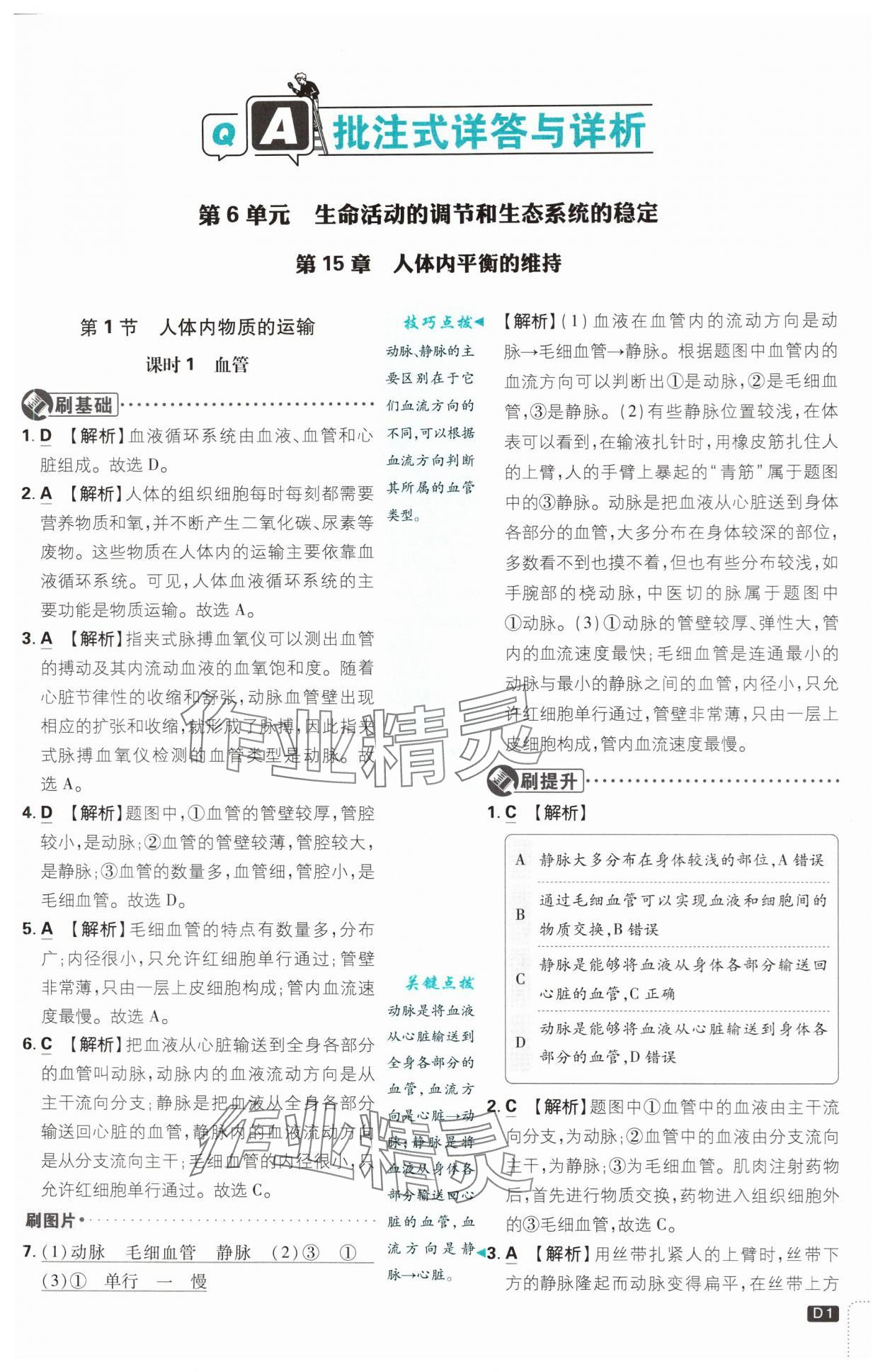 2024年初中必刷题八年级生物上册苏教版 第1页