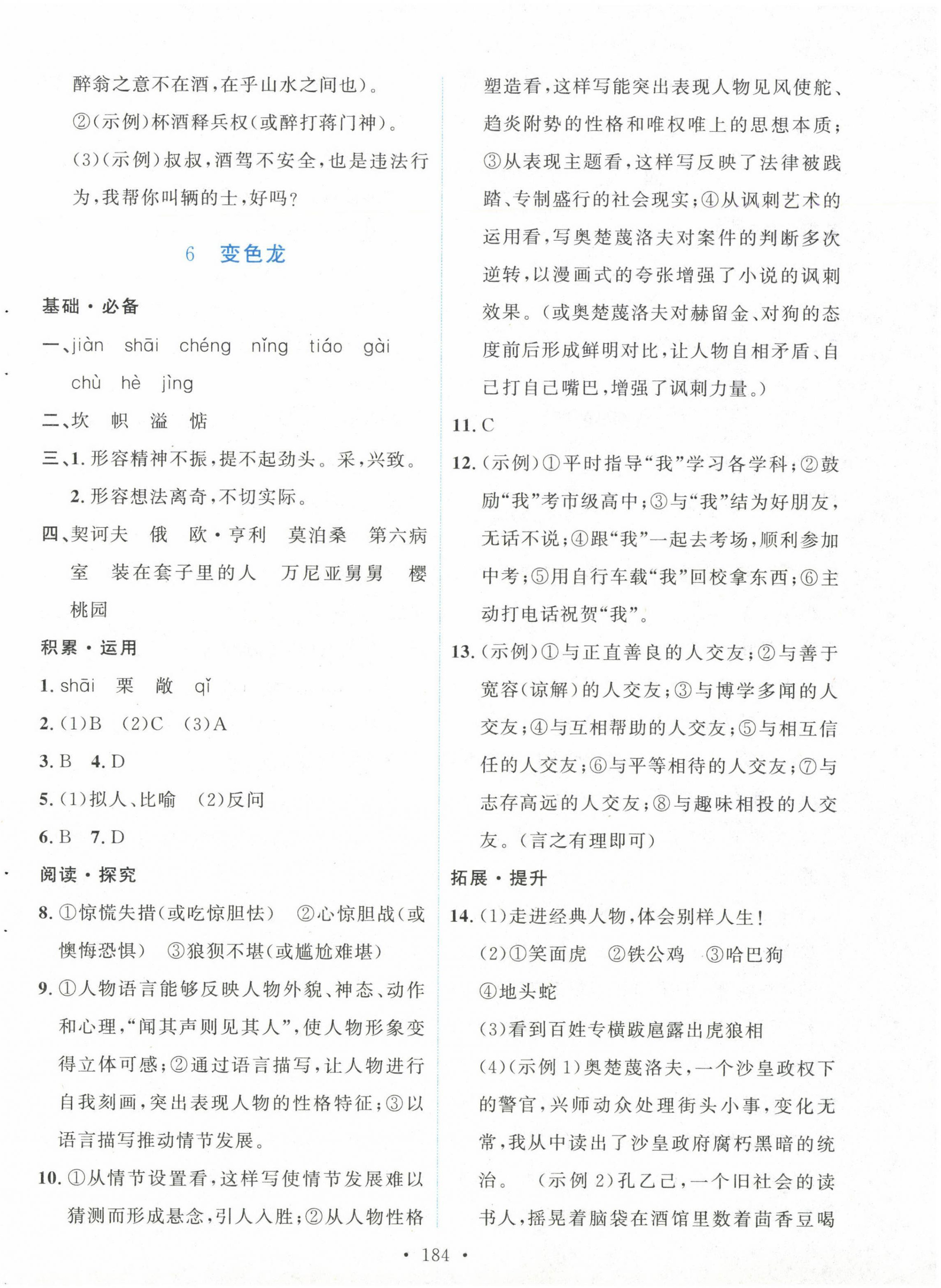2025年實(shí)驗(yàn)教材新學(xué)案九年級語文下冊人教版 第6頁