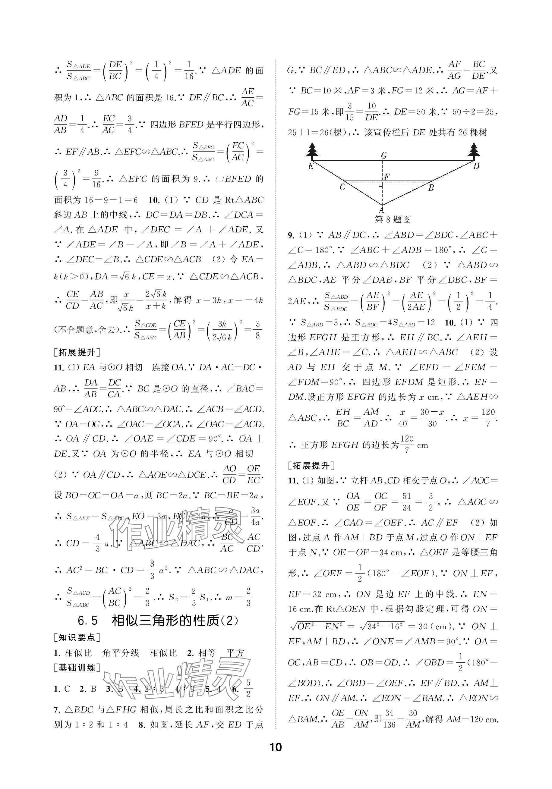 2024年創(chuàng)新優(yōu)化學案九年級數(shù)學下冊蘇科版 參考答案第10頁