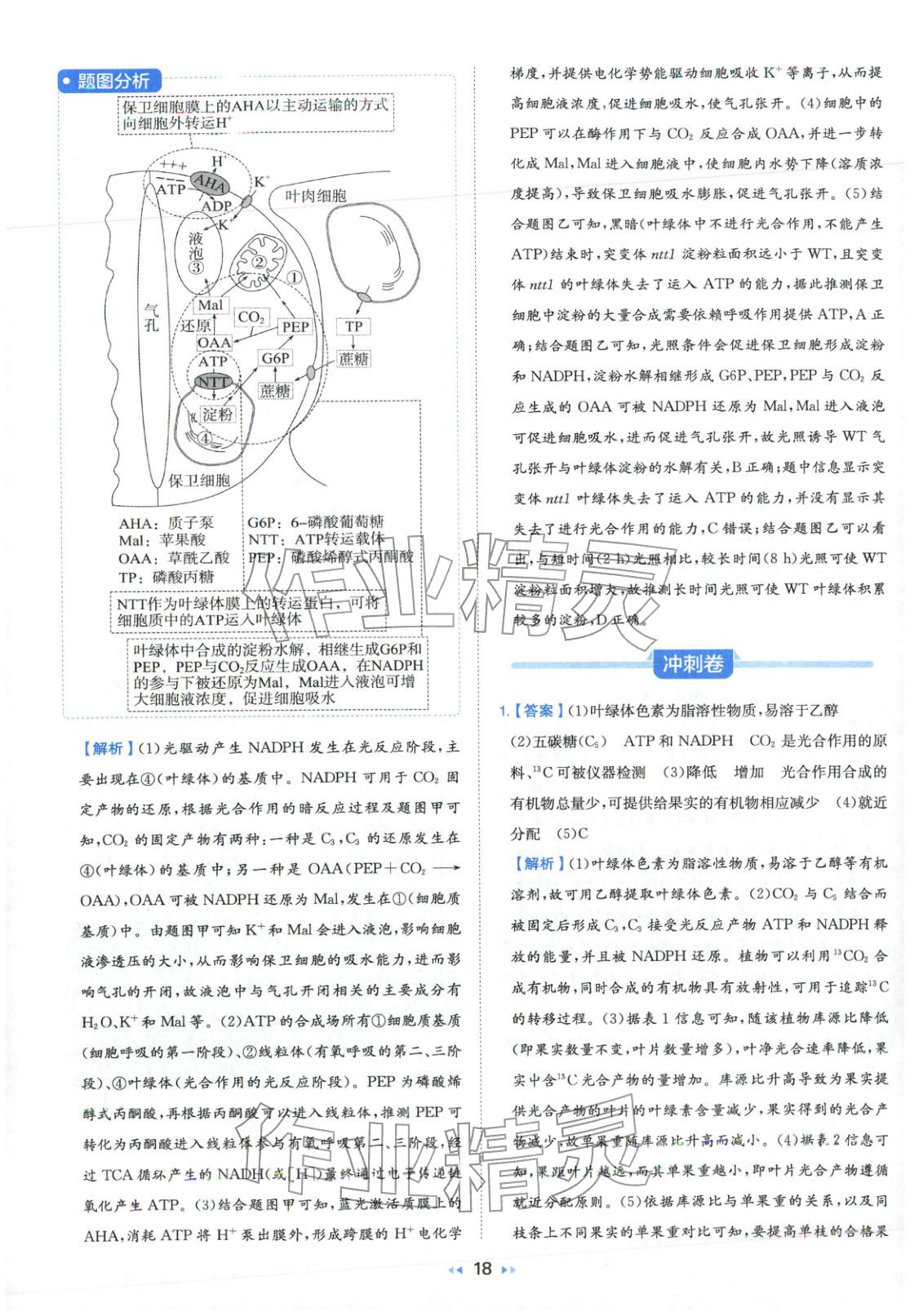 2026年一本真题分类高考生物&nbsp;第18页