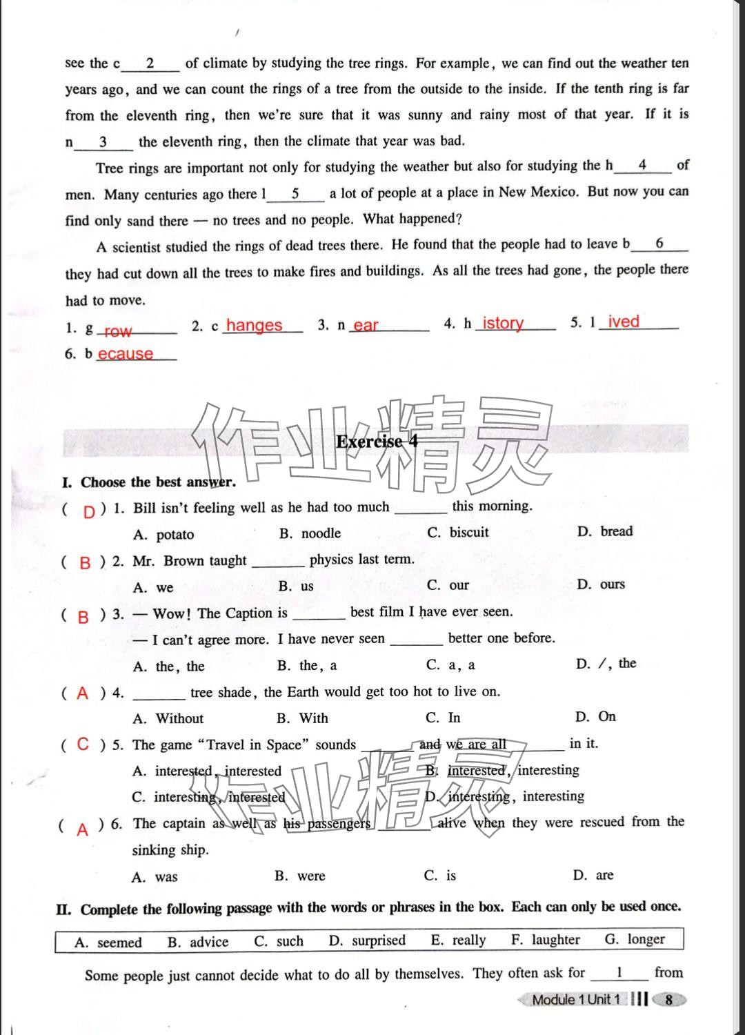 2025年中學(xué)生英語同步精練八年級下冊滬教版54制 參考答案第8頁