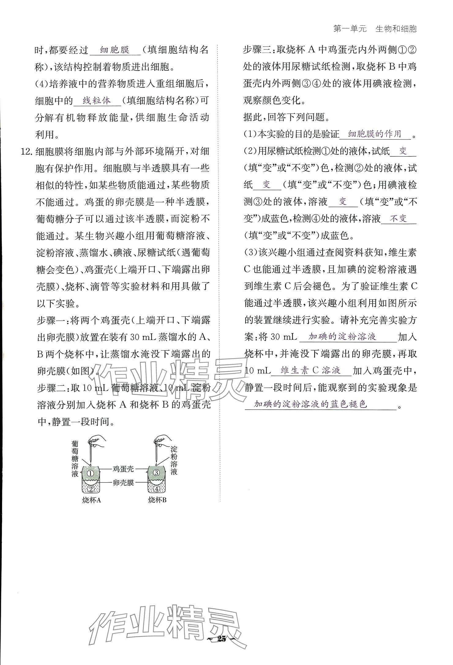 2024云南省標準教輔優(yōu)佳學案七年級生物上冊 參考答案第25頁