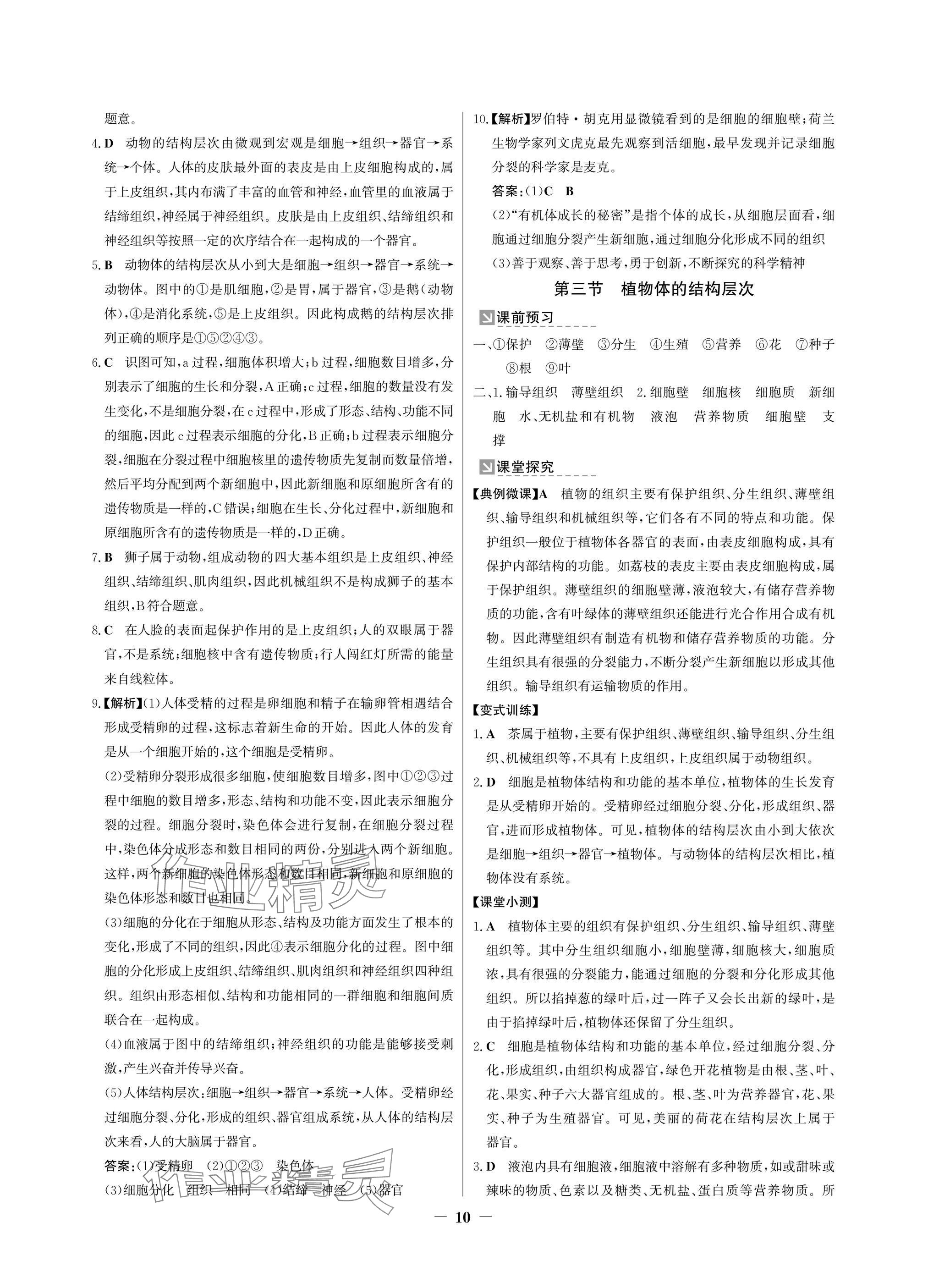 2024年南方新課堂金牌學(xué)案七年級(jí)生物上冊(cè)人教版深圳專(zhuān)版 參考答案第10頁(yè)