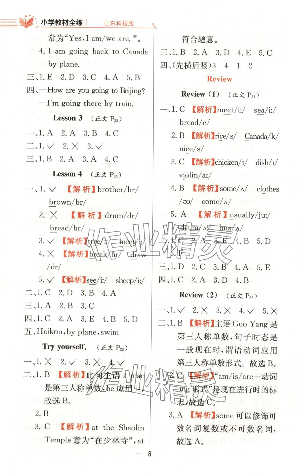 2025年教材全练四年级英语下册鲁科版 第8页