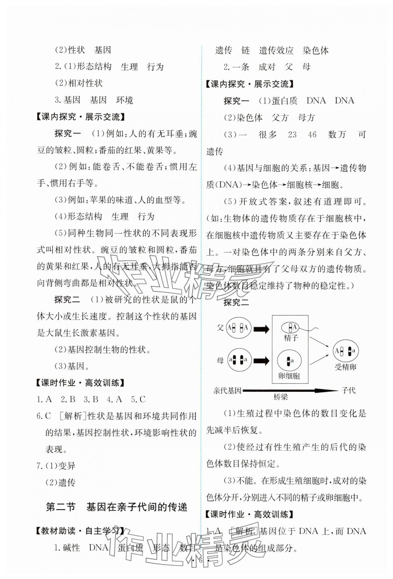 2024年能力培養(yǎng)與測試八年級生物下冊人教版 第6頁