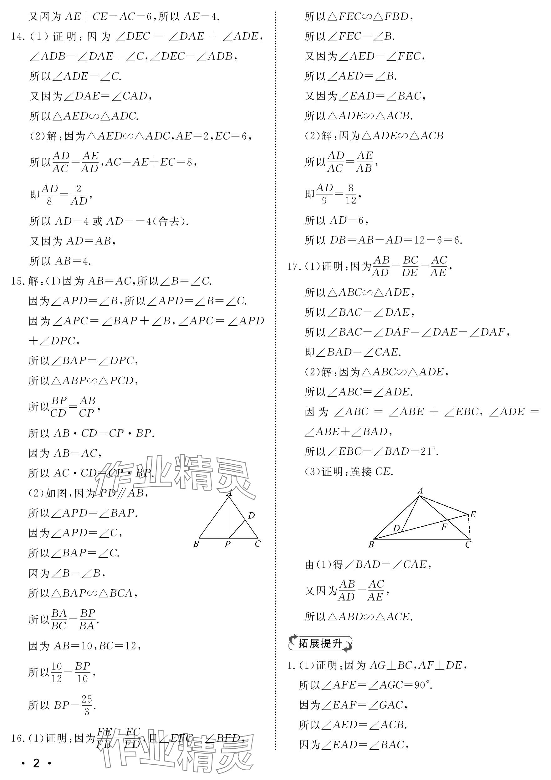 2023年行知天下九年级数学上册青岛版 参考答案第2页