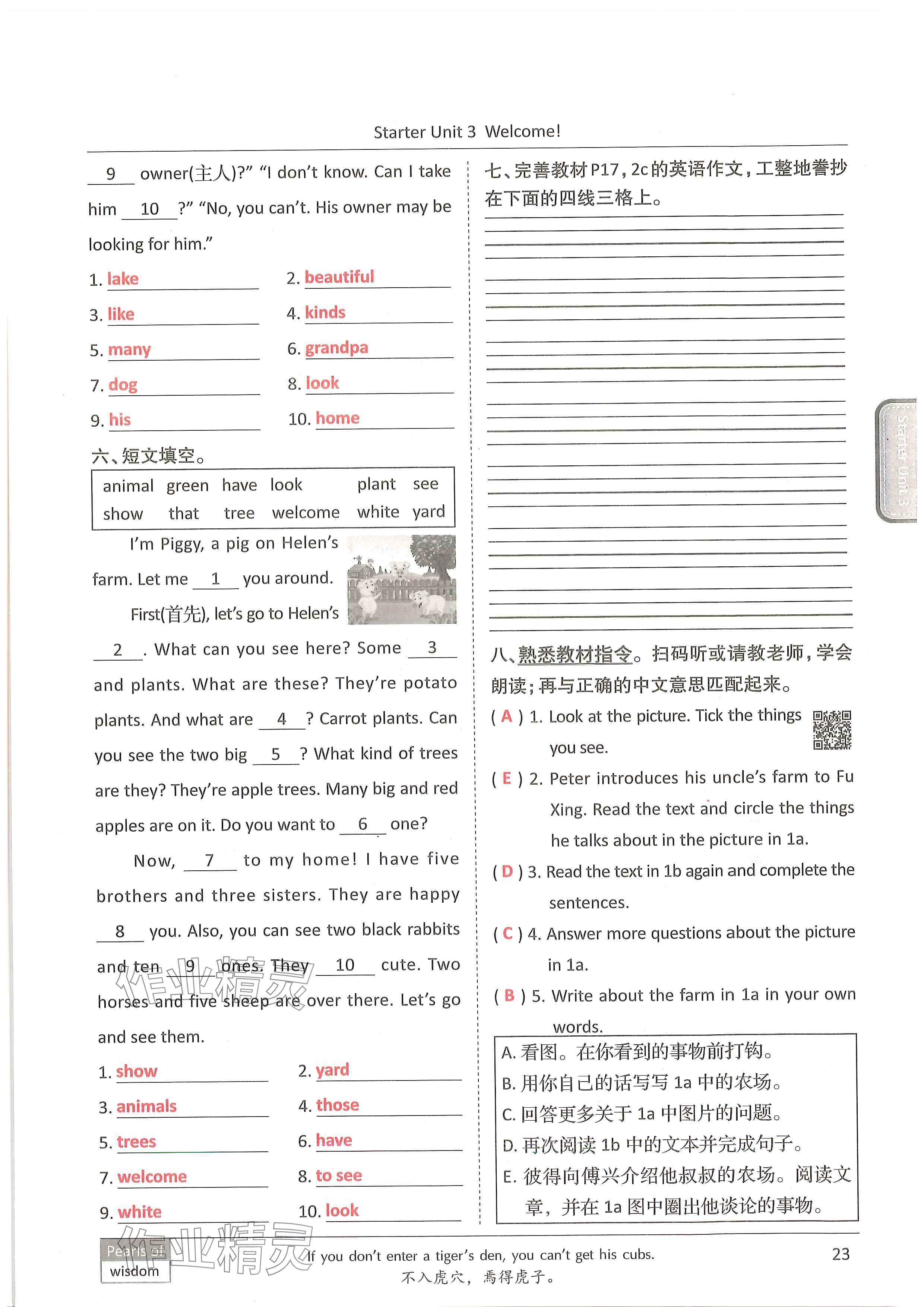 2024年新视界单元复习七年级英语上册人教版&nbsp;参考答案第22页