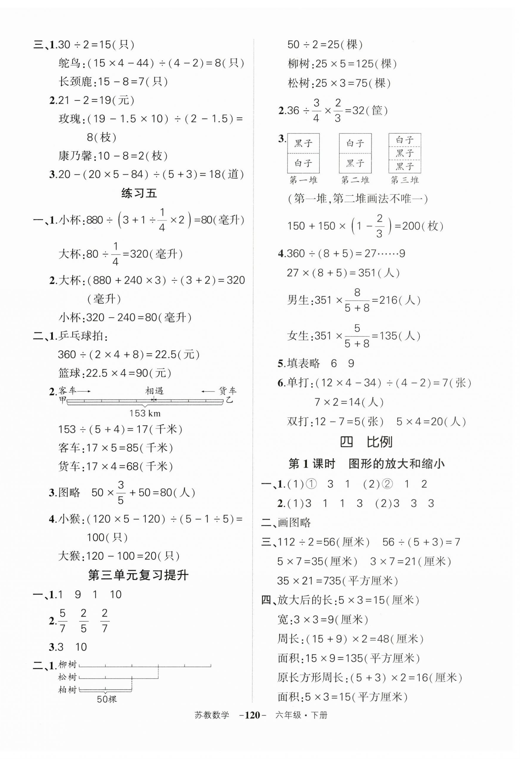 2025年?duì)钤刹怕穭?chuàng)優(yōu)作業(yè)100分六年級(jí)數(shù)學(xué)下冊(cè)蘇教版 第6頁