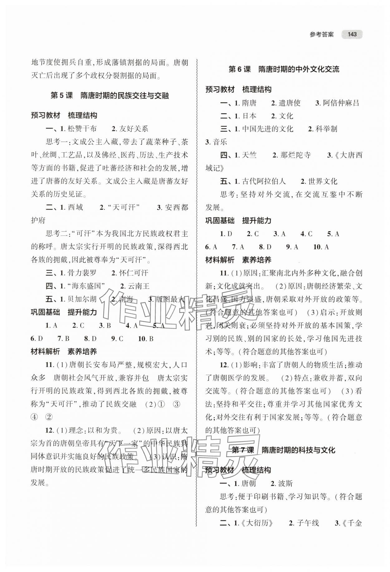 2025年同步練習(xí)冊大象出版社七年級歷史下冊人教版 第3頁
