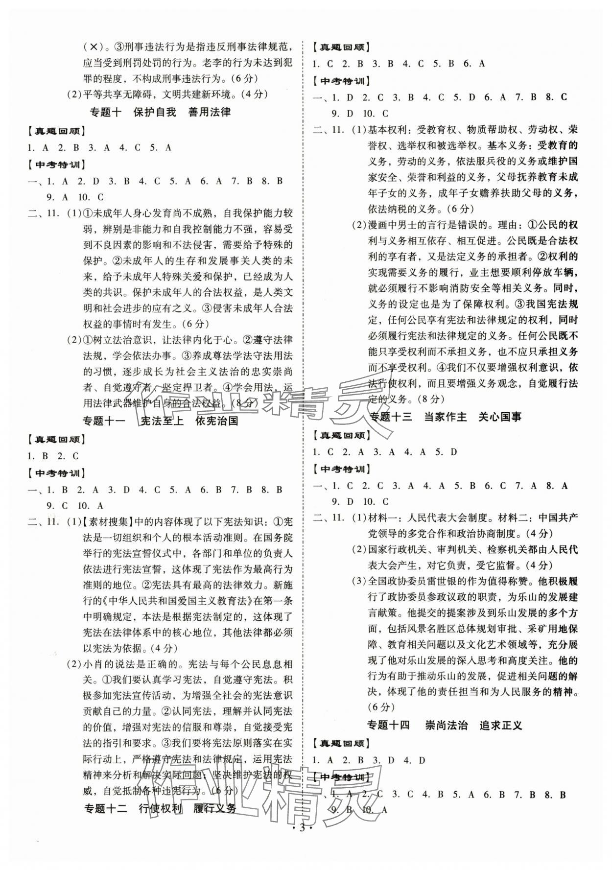 2025年金牌中考總復習道德與法治 第3頁
