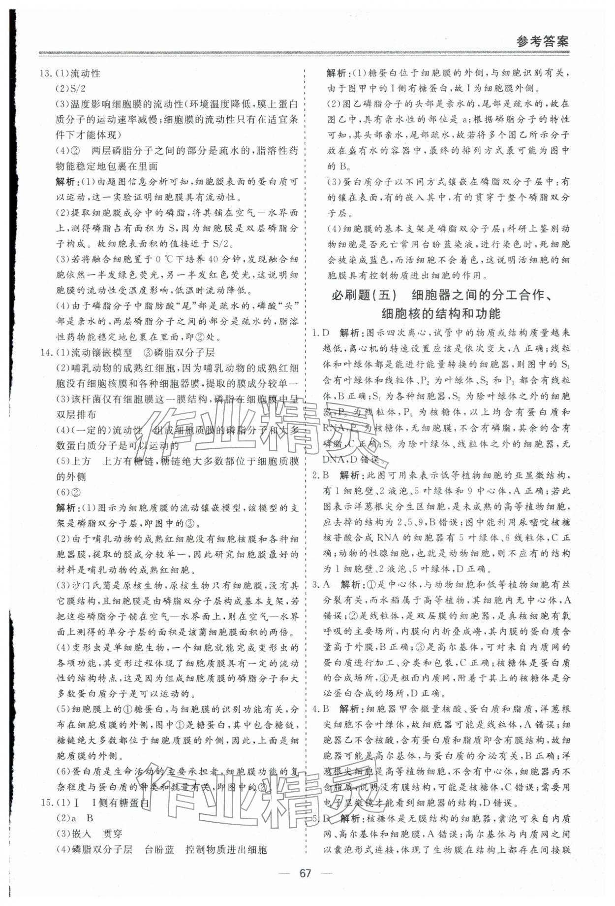 2026年期末单元作业假期必刷题高一生物&nbsp;第7页