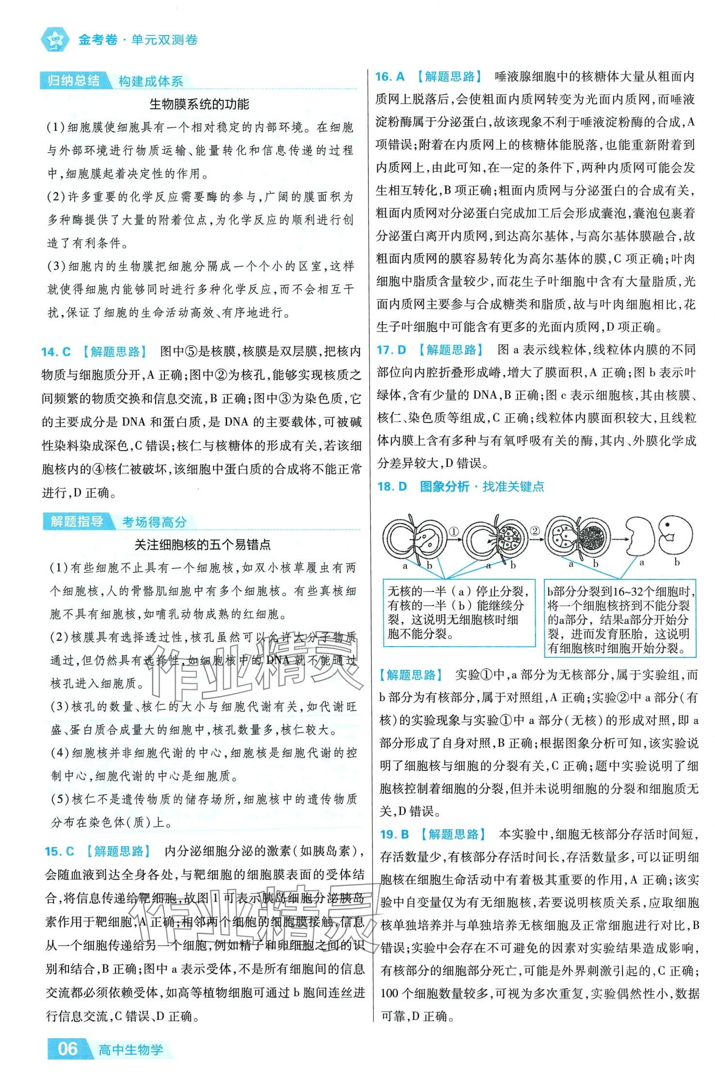 2024年金考卷活頁題選高中生物必修1人教版 參考答案第6頁