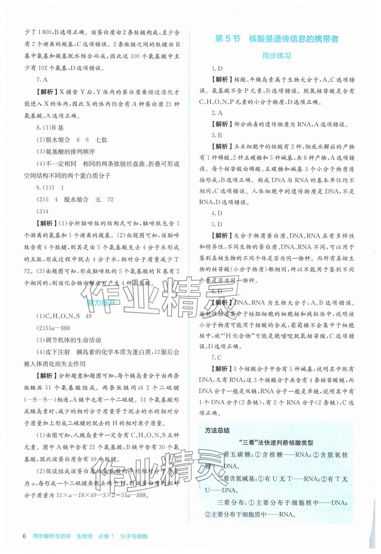 2024年人教金學(xué)典同步解析與測(cè)評(píng)高中生物必修1人教版 第6頁