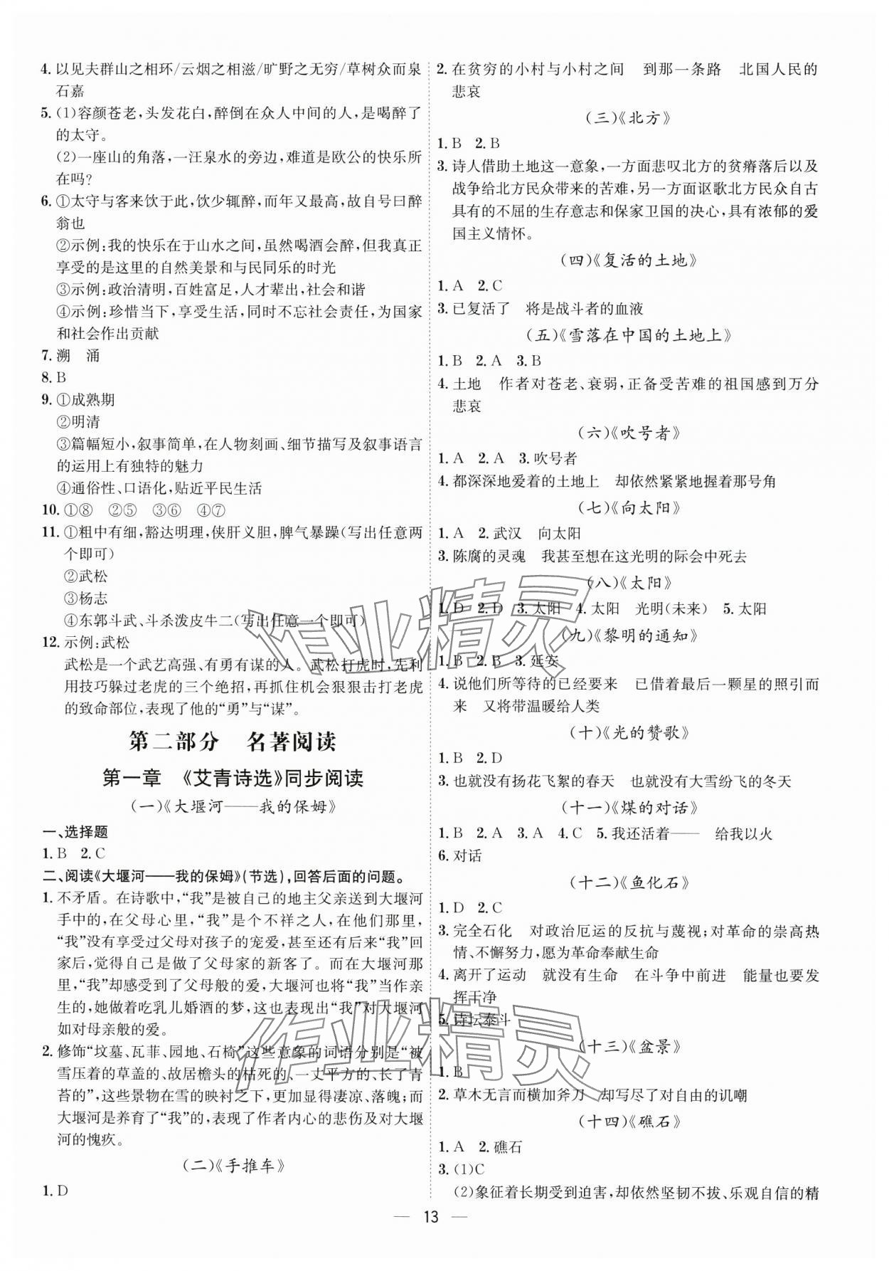 2025年考點(diǎn)專練九年級(jí)語文全一冊(cè)人教版深圳專版&nbsp;第13頁