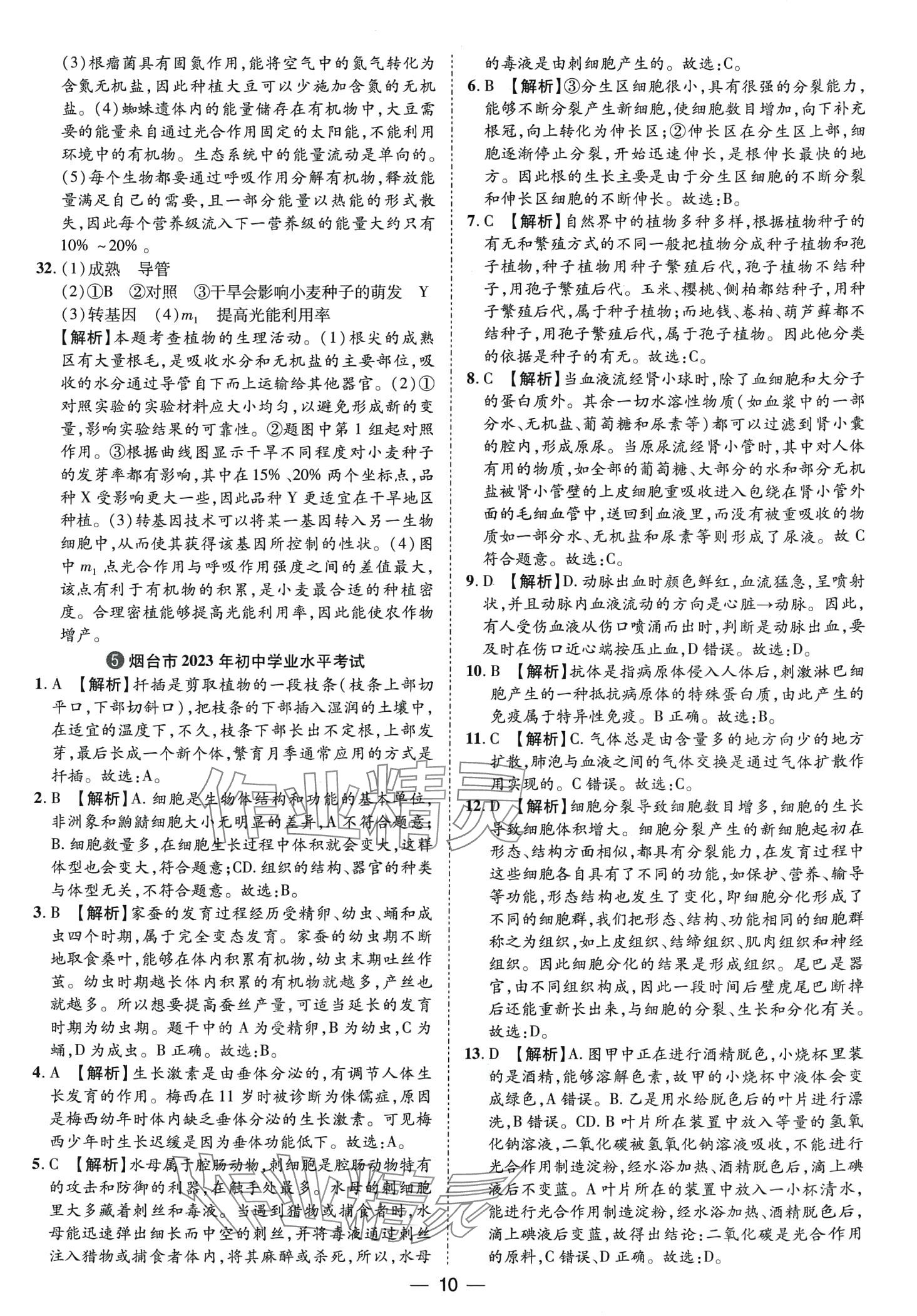 2024年鲁人泰斗中考必备中考试题汇编生物中考山东专版&nbsp;第10页