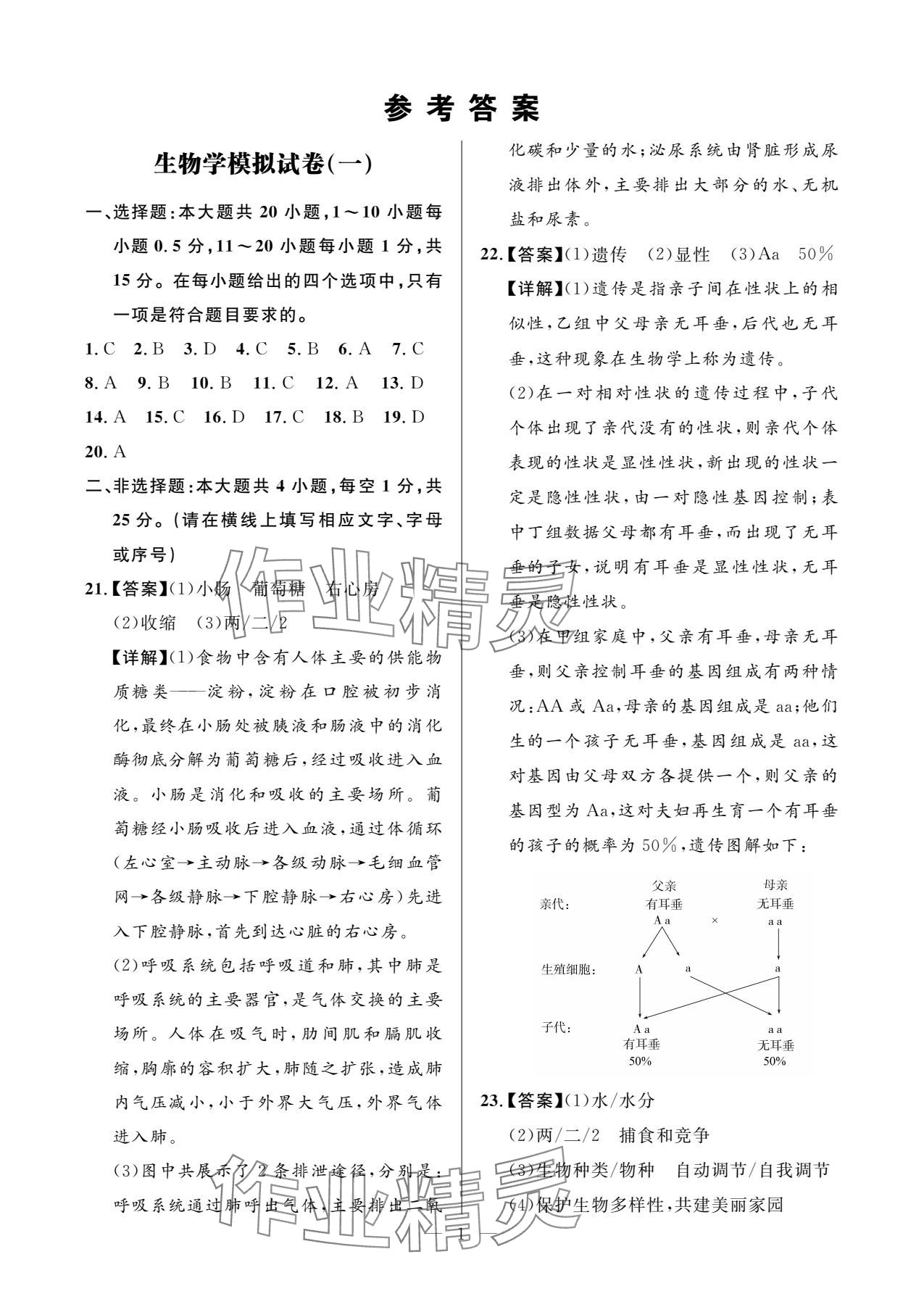 2025年全优金卷生物甘肃专版 参考答案第1页