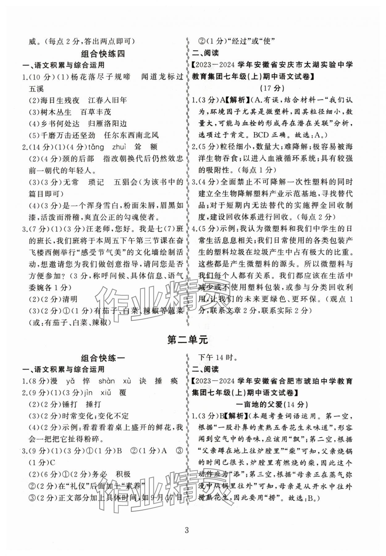 2024年一本通現(xiàn)代文閱讀七年級(jí)語(yǔ)文A版人教版 第3頁(yè)