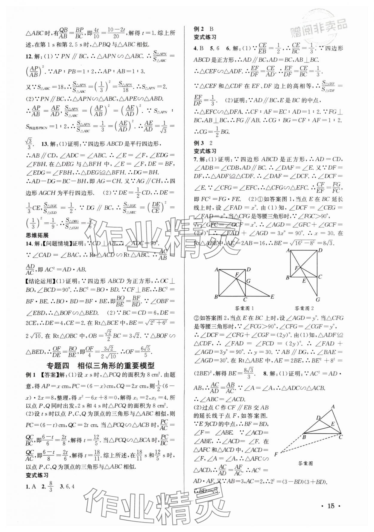 2024年培優課堂九年級數學全一冊華師大版四川專版 第15頁