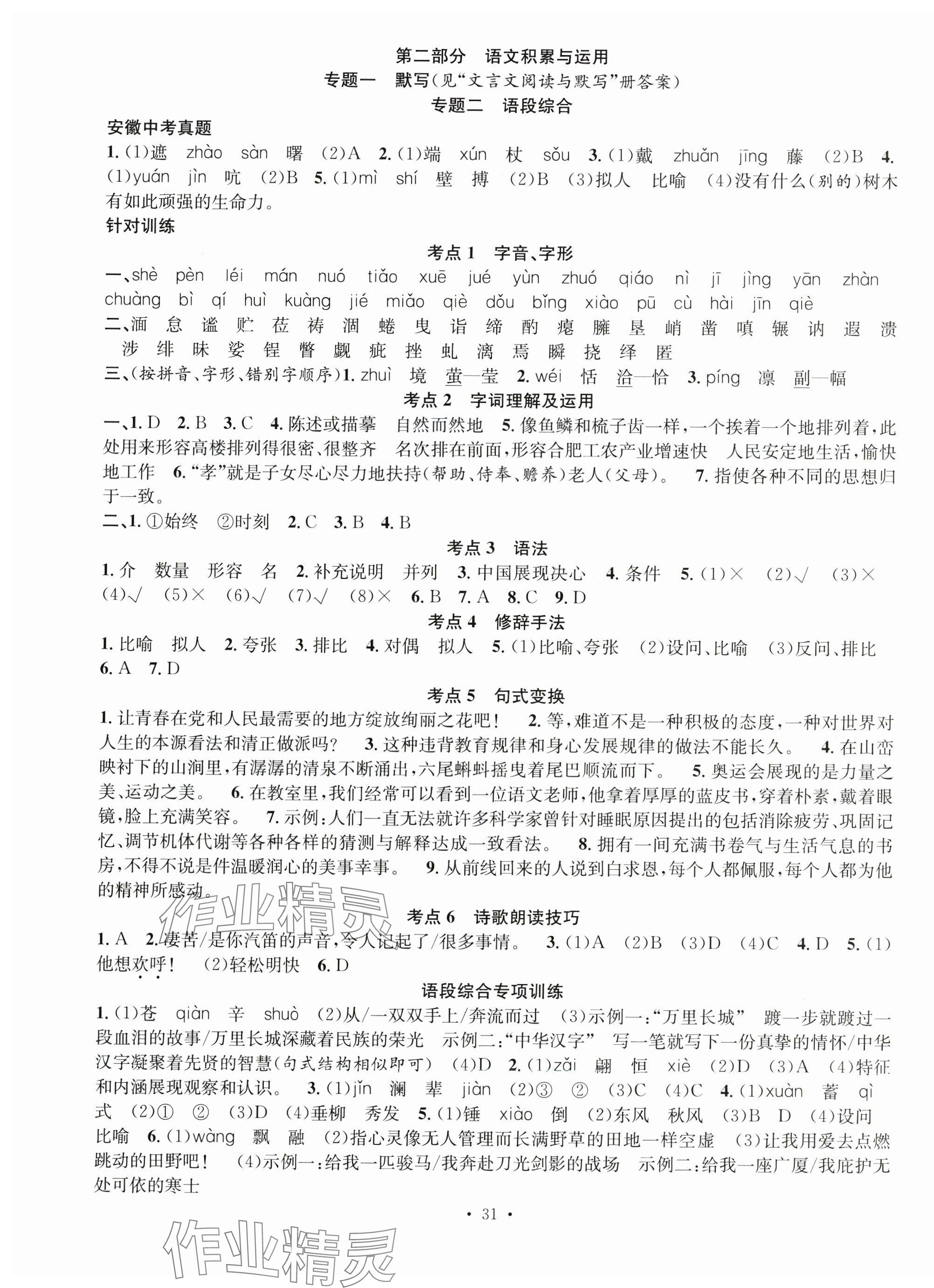 2025年贏在中考搶分王語文安徽中考 第7頁