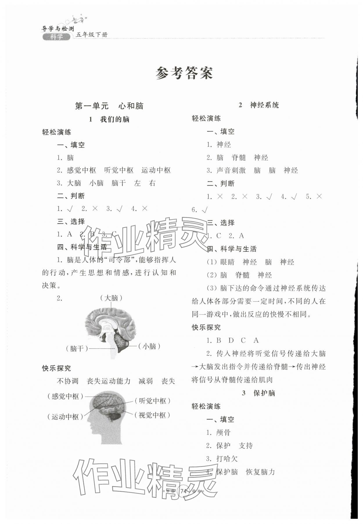 2024年導學與檢測五年級科學下冊青島版 參考答案第1頁