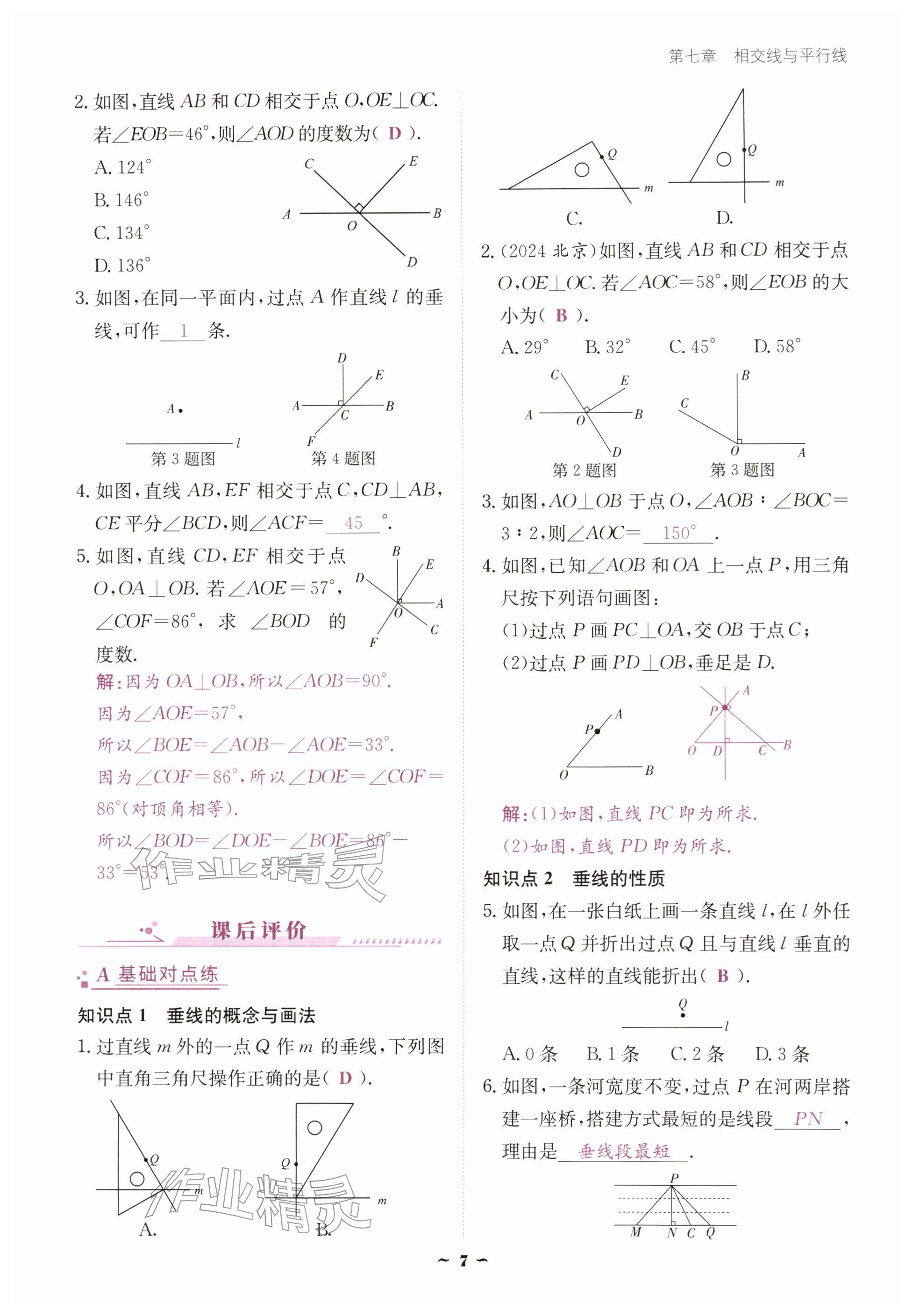 2026年优佳学案（云南）七年级数学下册人教版&nbsp;参考答案第7页