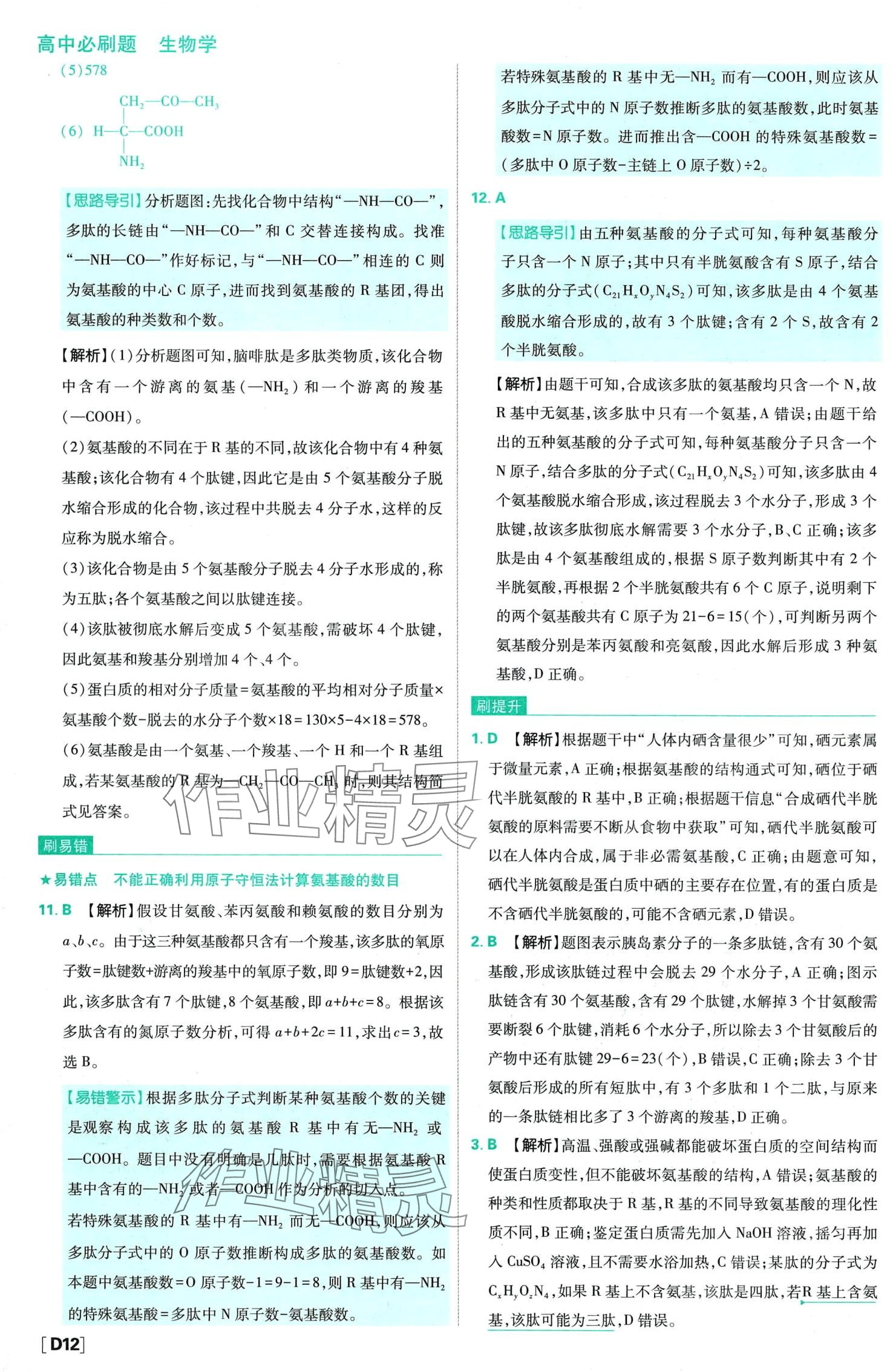 2024年高中必刷题（分子与细胞）高中生物必修1人教版 第16页