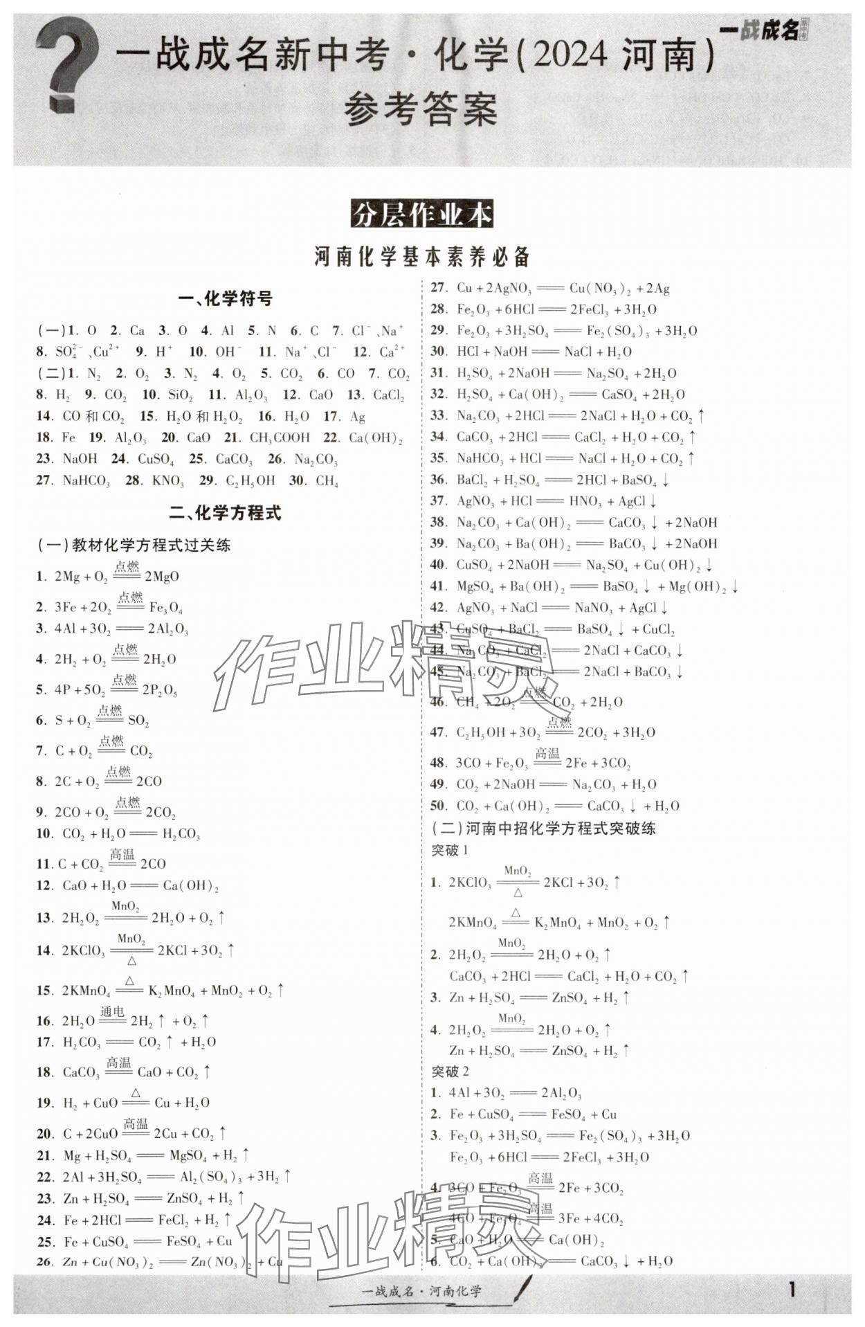 2024年一戰(zhàn)成名考前新方案化學(xué)河南專版 第1頁