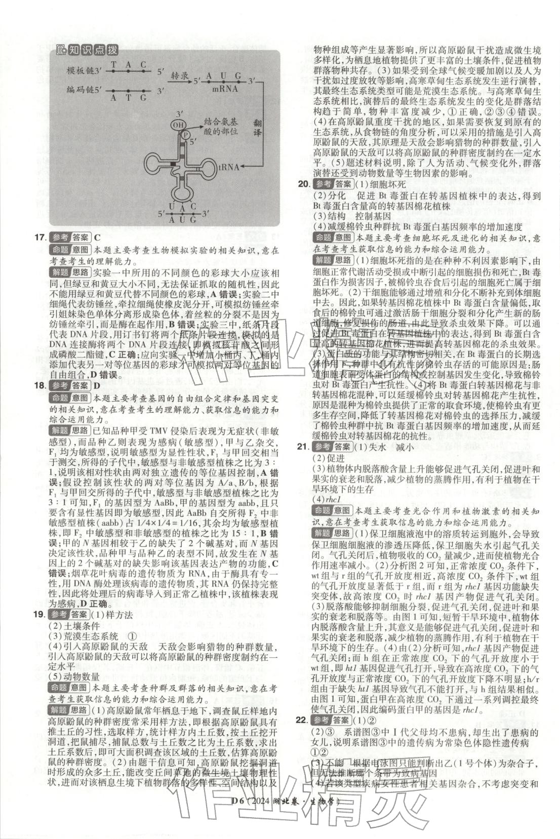 2026年新高考5年真題生物湖北專版&nbsp;第6頁
