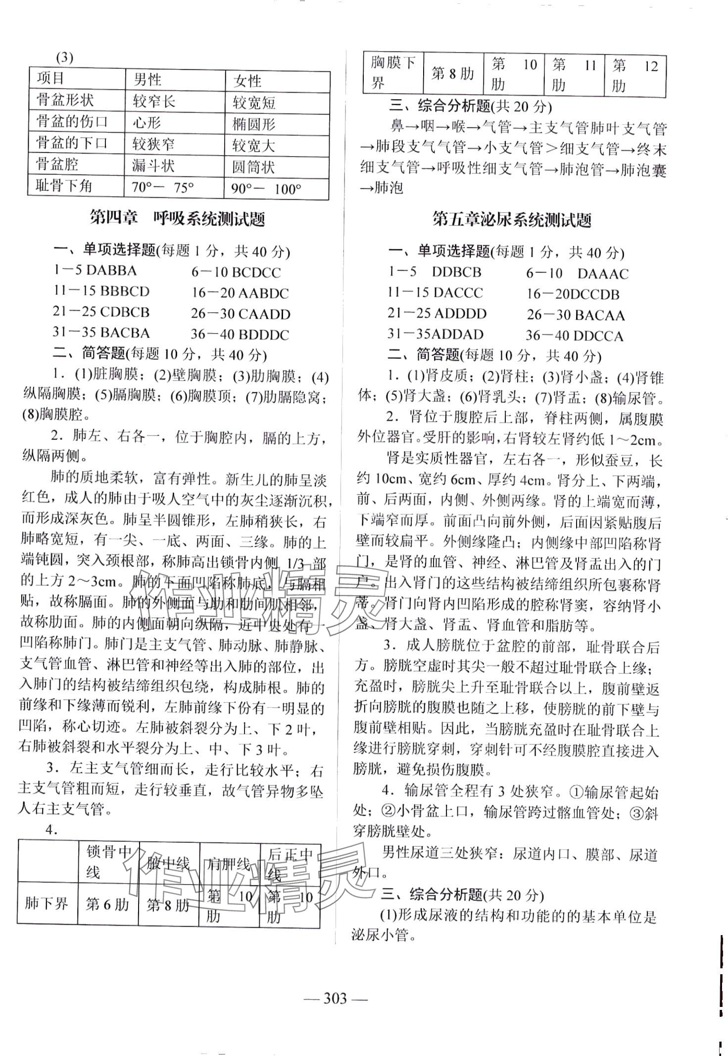 2024年学海领航阶段跟踪测评卷&nbsp;第5页