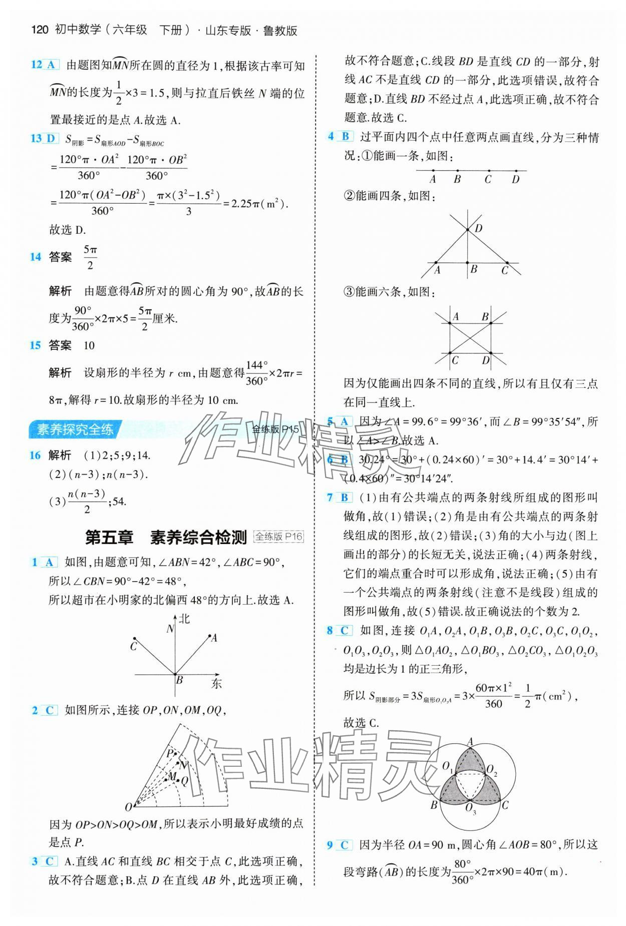 2024年5年中考3年模拟六年级数学下册鲁教版山东专版54制 参考答案第10页