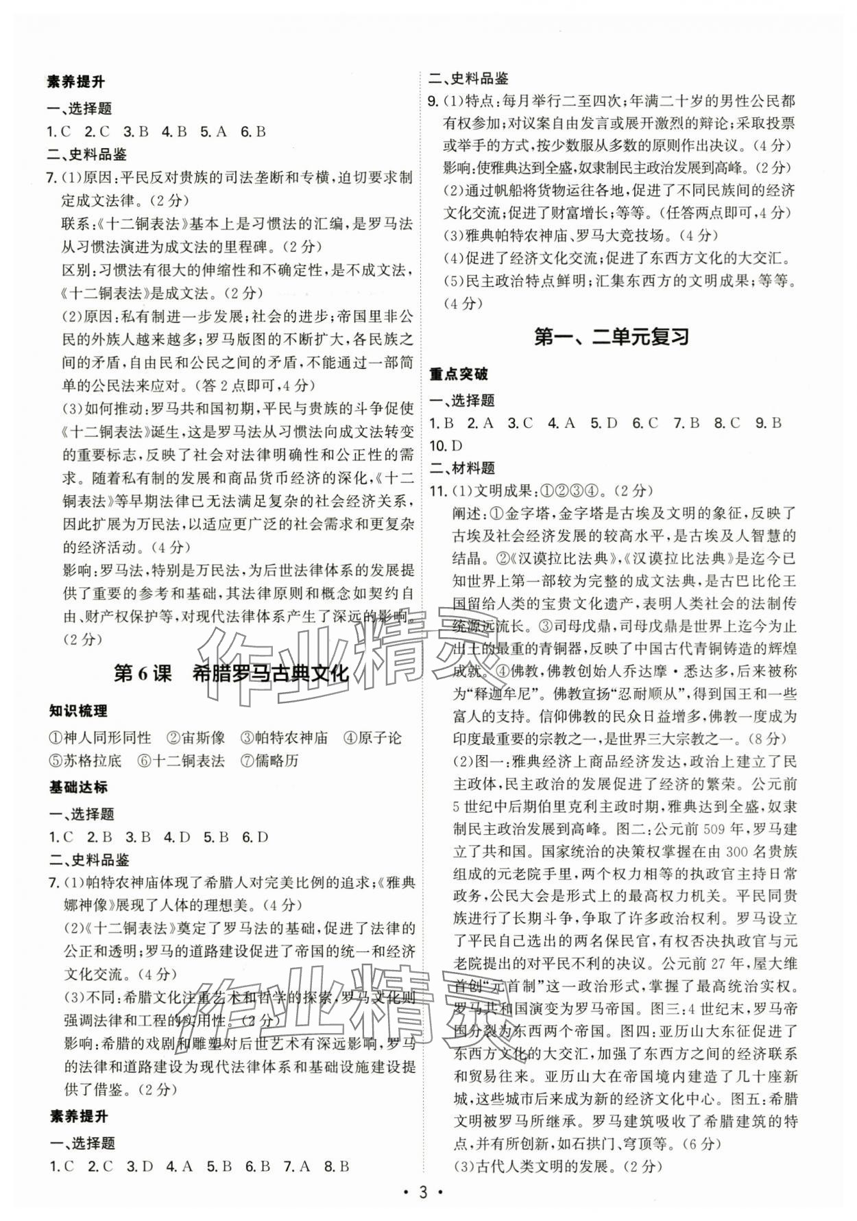 2025年考點(diǎn)專練九年級(jí)歷史全一冊(cè)人教版深圳專版 第3頁