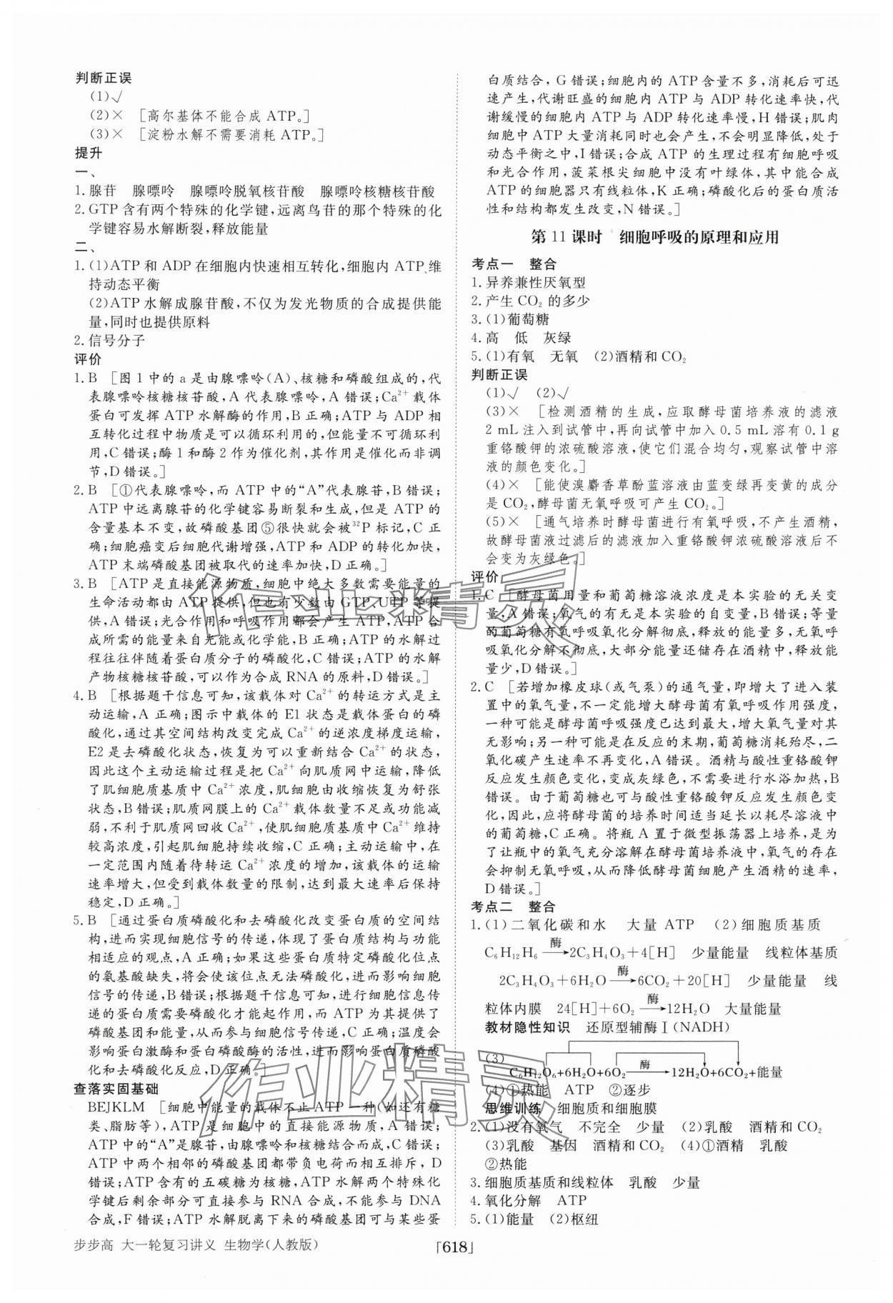 2025年步步高大一輪復(fù)習(xí)講義高中生物 第10頁(yè)
