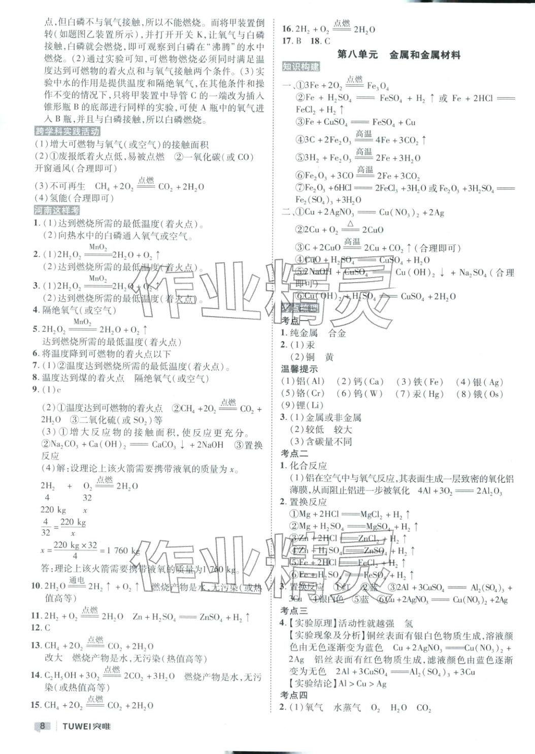 2026年突唯中考中考总复习九年级化学全一册通用版河南专版&nbsp;第8页