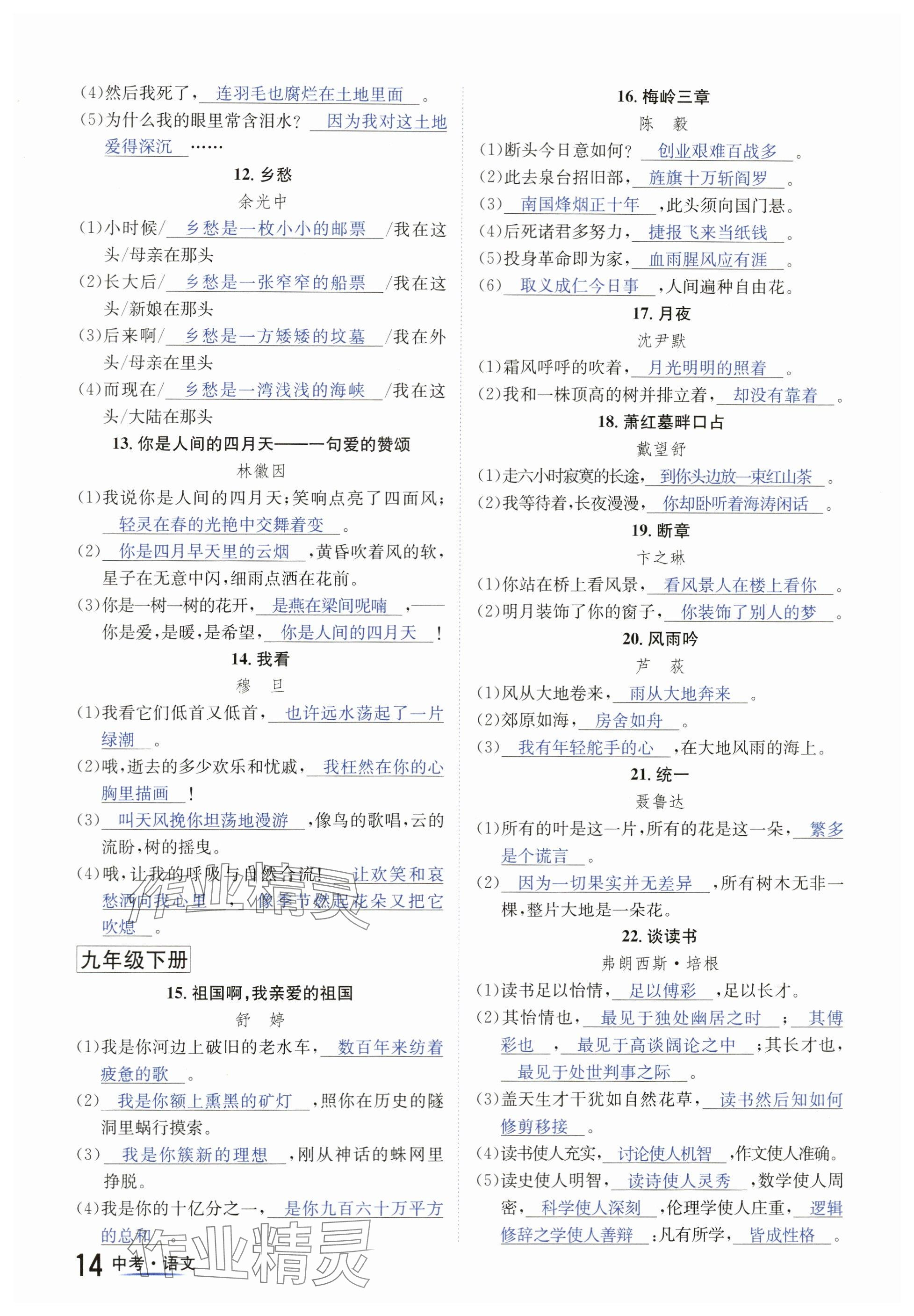 2024年國華圖書中考拐點(diǎn)語文南充專版 參考答案第14頁