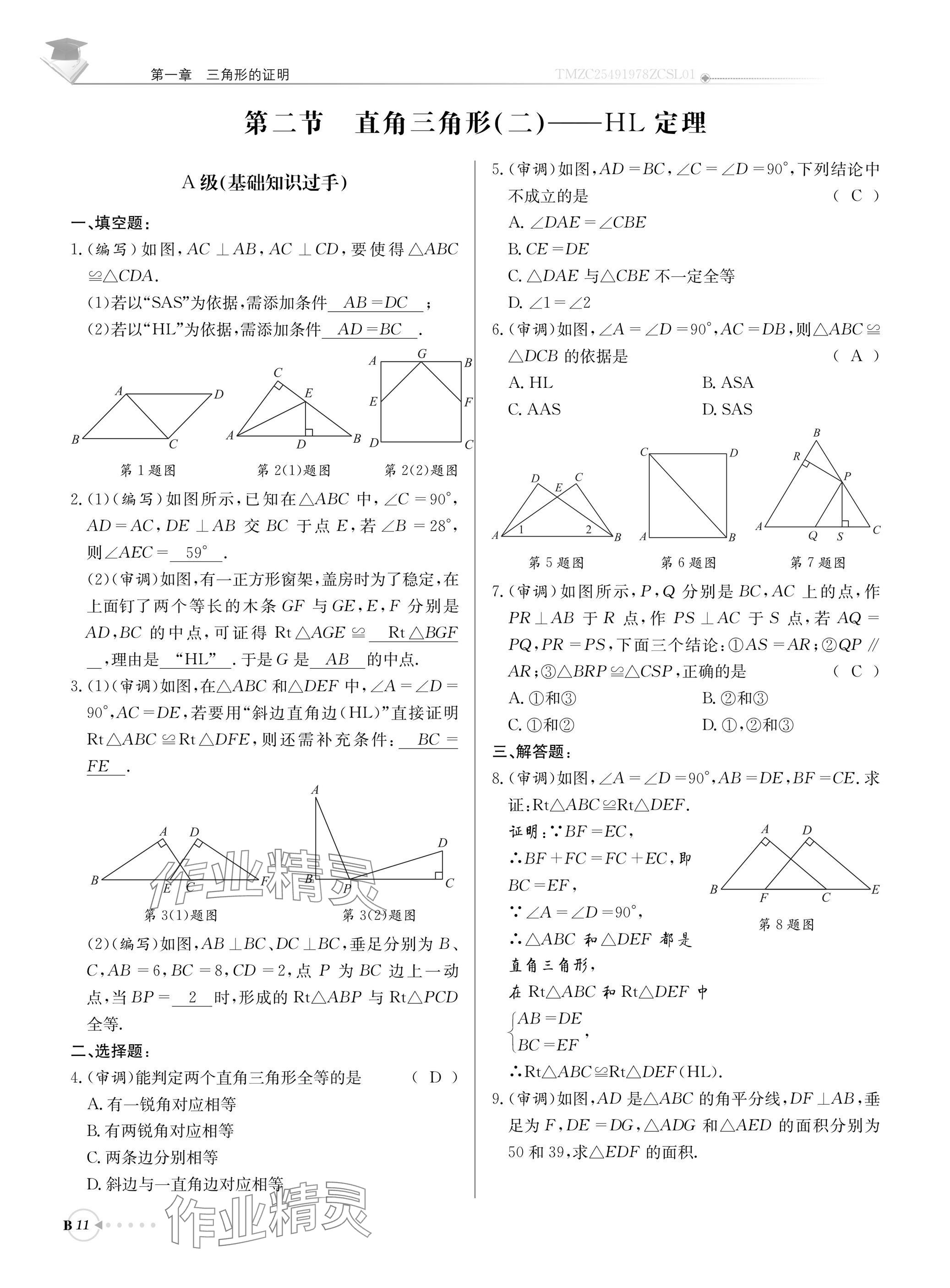 2025年初中数学每日核心导学八年级下册北师大版 参考答案第11页