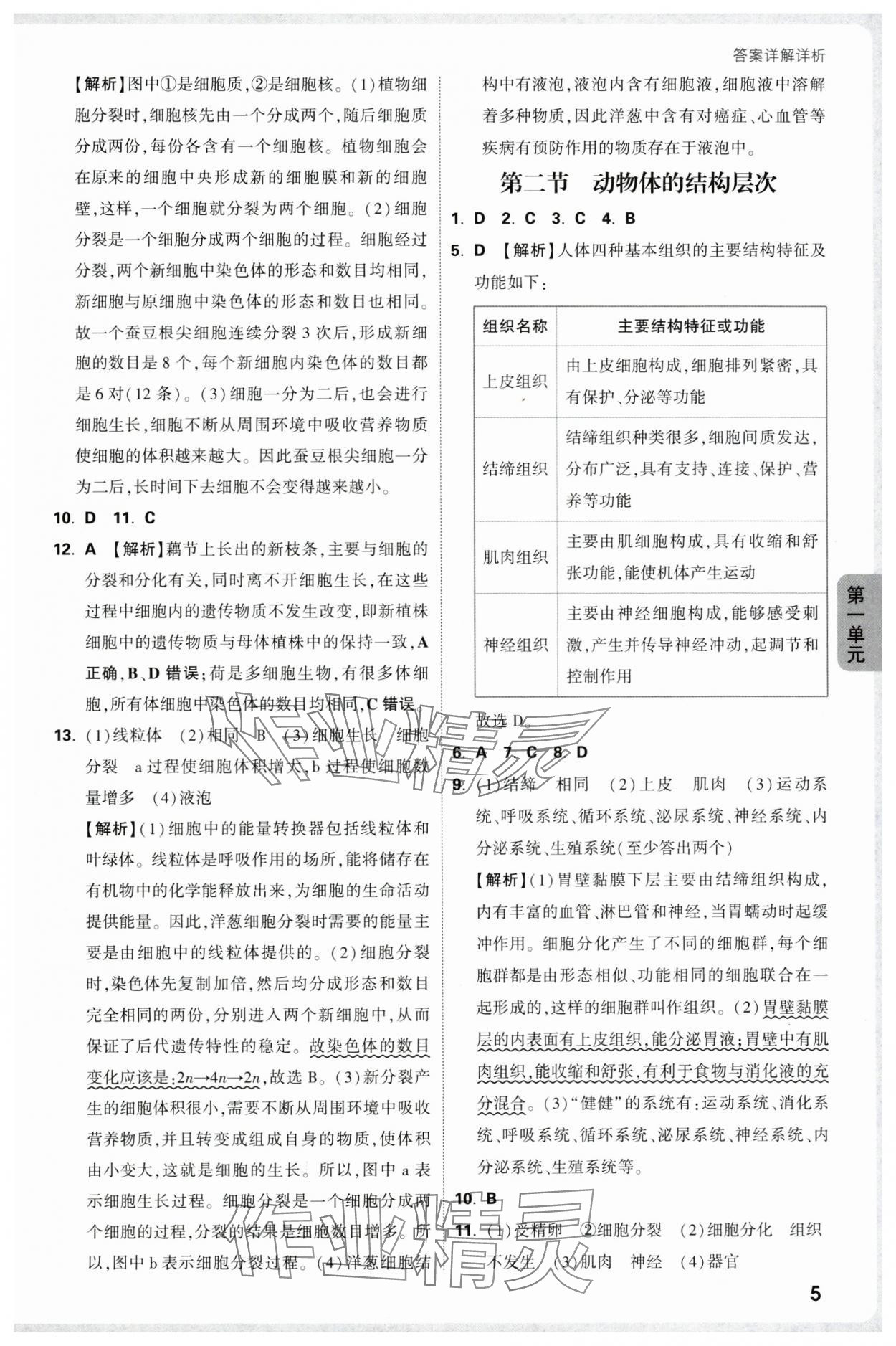 2025年萬唯中考情境題七年級(jí)生物上冊(cè)人教版 參考答案第5頁