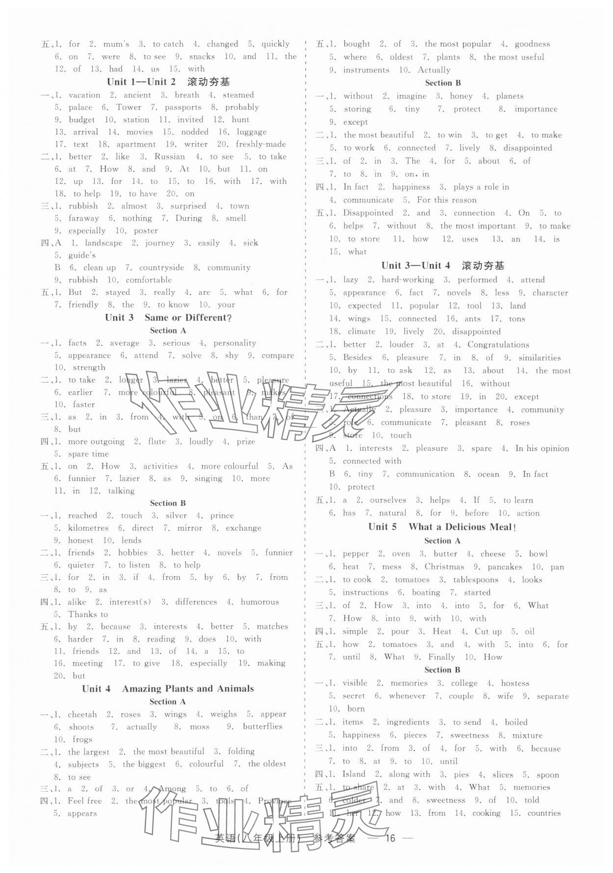 2025年精彩三年就练这一本八年级英语上册人教版&nbsp;第16页