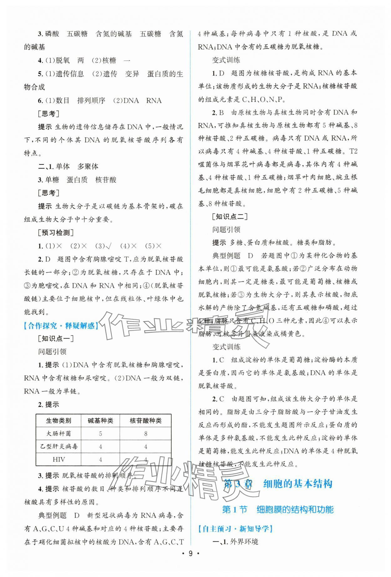 2025年高中同步測控優(yōu)化設(shè)計（分子與細胞）高中生物必修1人教版增強版 參考答案第8頁