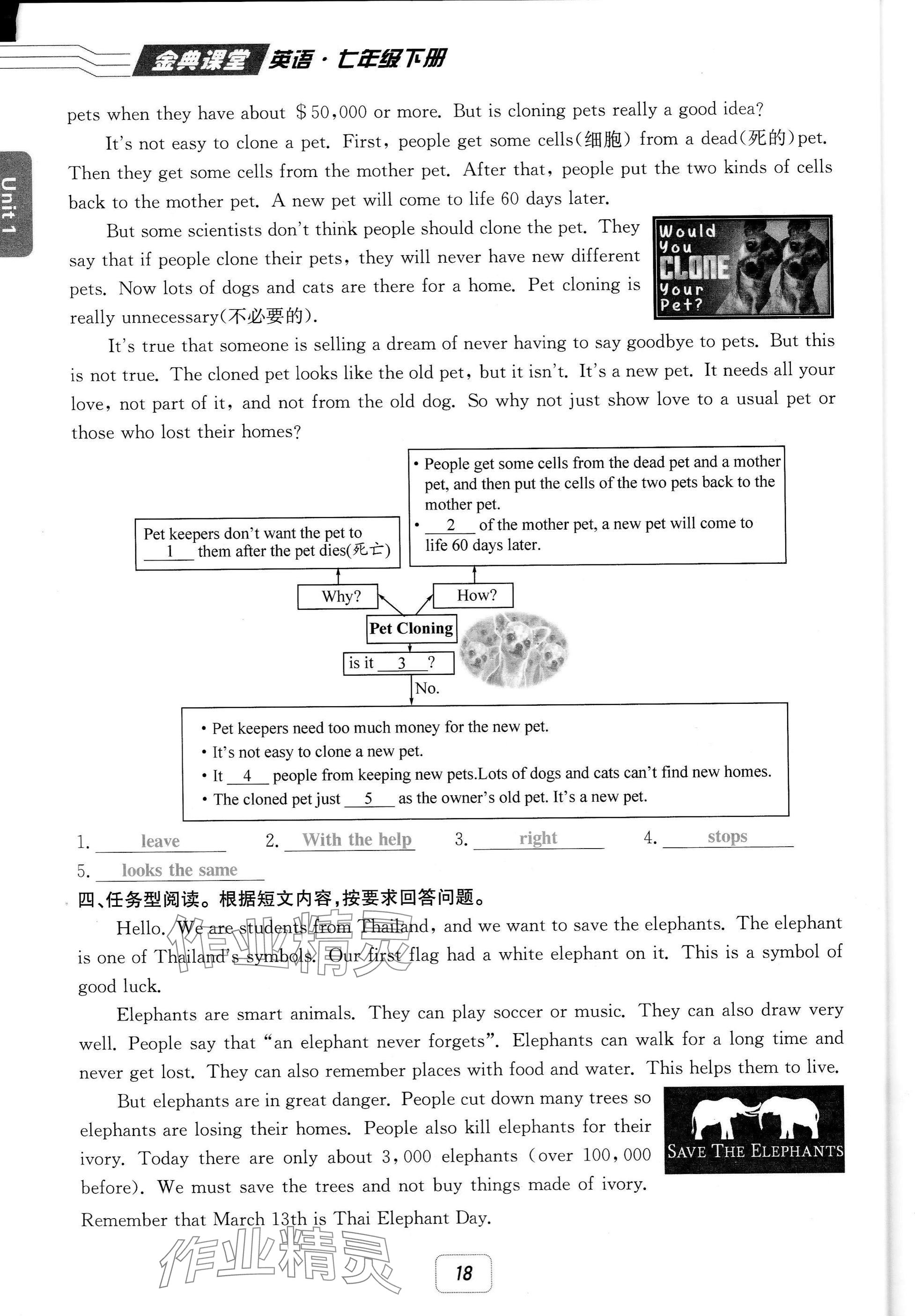 2025年名校金典課堂七年級(jí)英語(yǔ)下冊(cè)人教版成都專(zhuān)版 參考答案第18頁(yè)