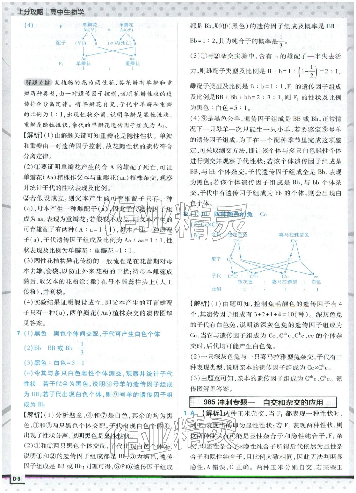 2025年上分攻略高中生物必修第二册人教版&nbsp;第6页