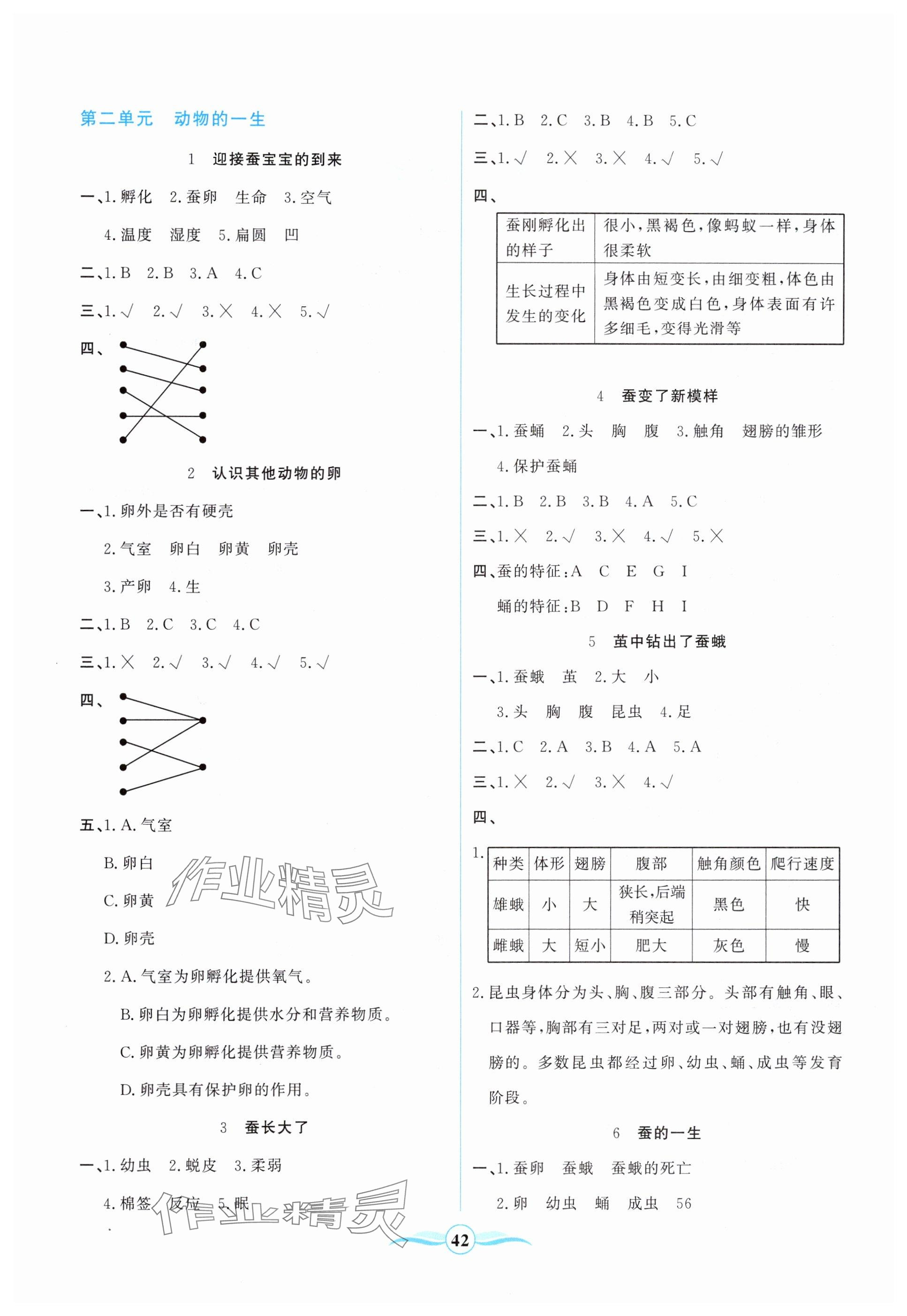 2025年激活思維陽光出版社三年級科學下冊教科版 參考答案第2頁