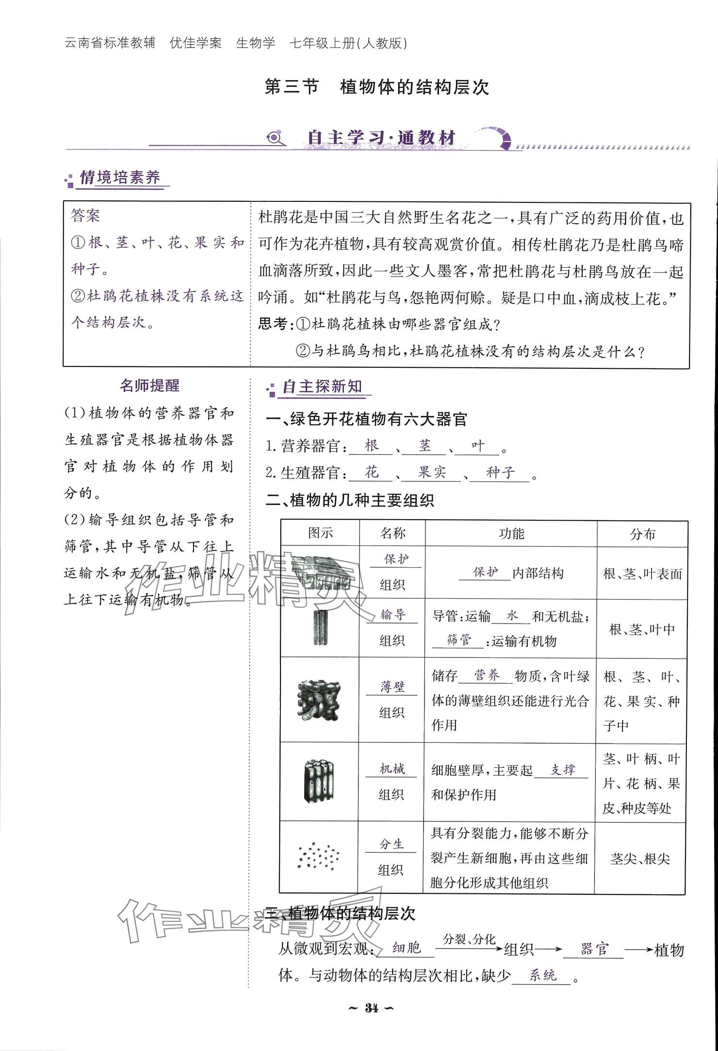 2024云南省標(biāo)準(zhǔn)教輔優(yōu)佳學(xué)案七年級(jí)生物上冊(cè) 參考答案第34頁(yè)