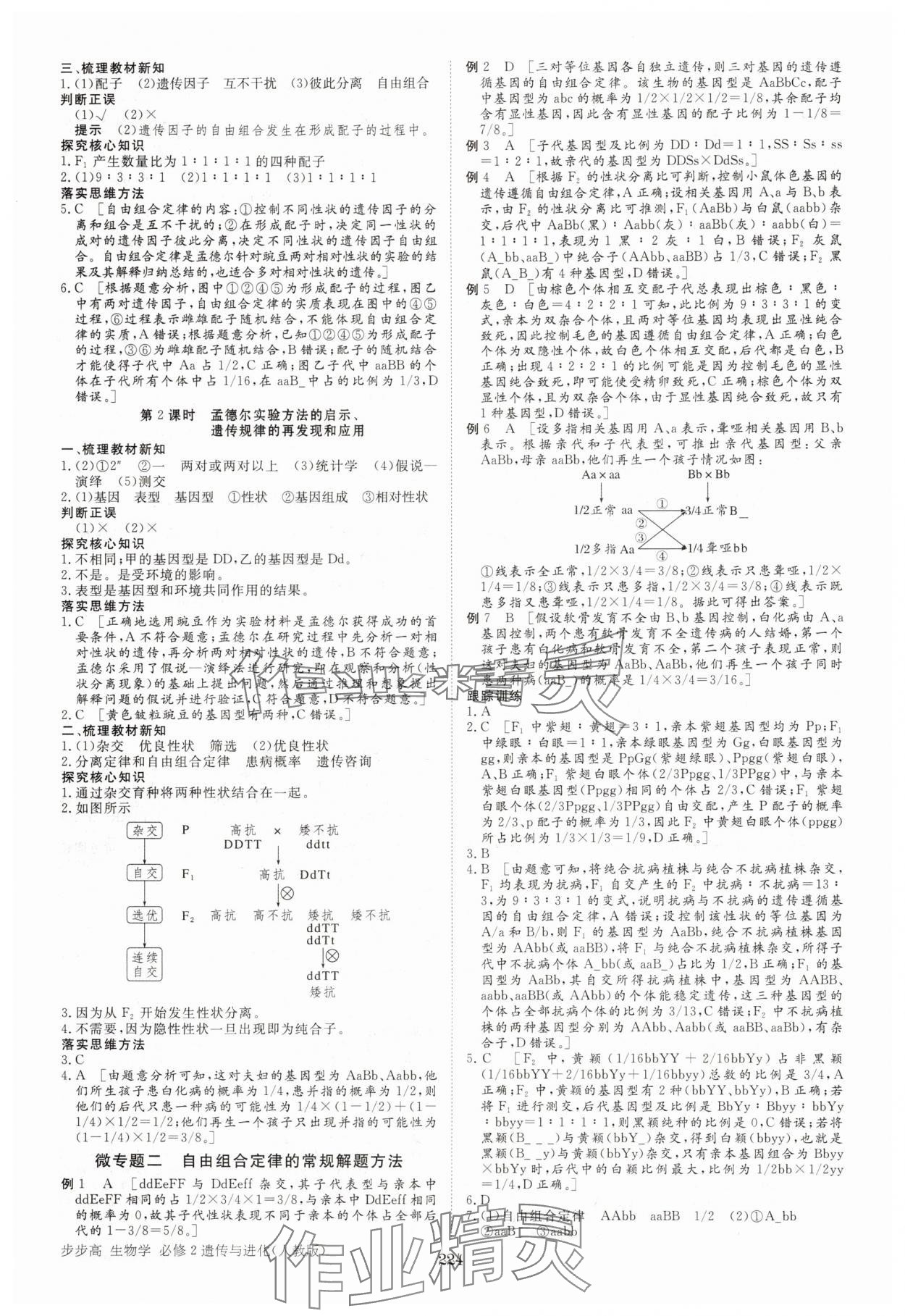 2025年步步高学习笔记生物必修2人教版 参考答案第3页